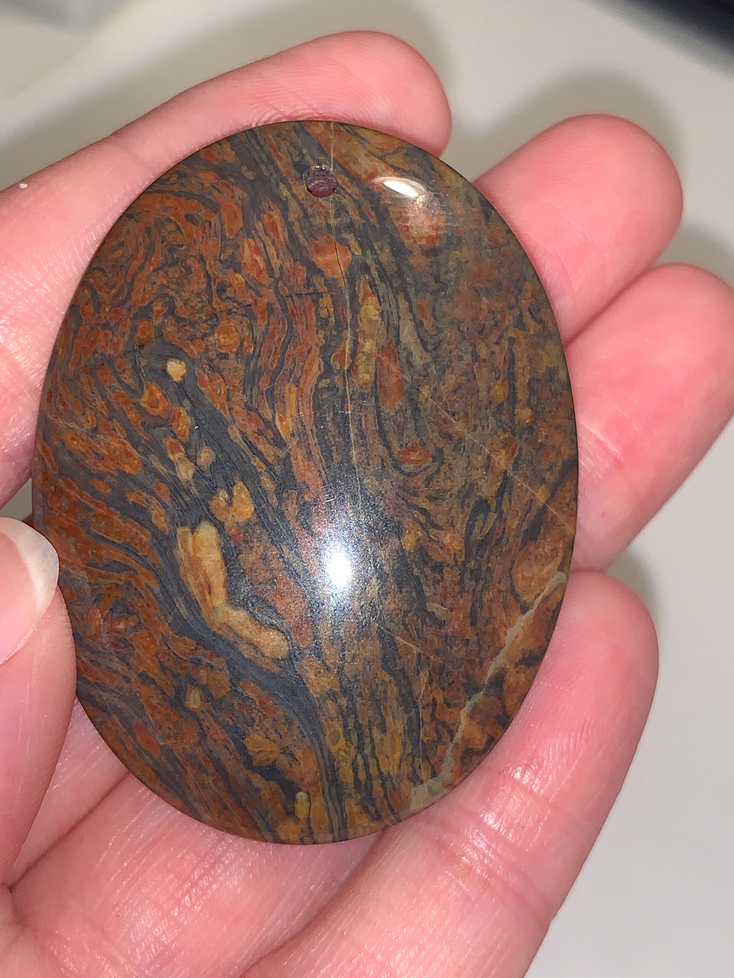 Oval Petrified Wood Focal