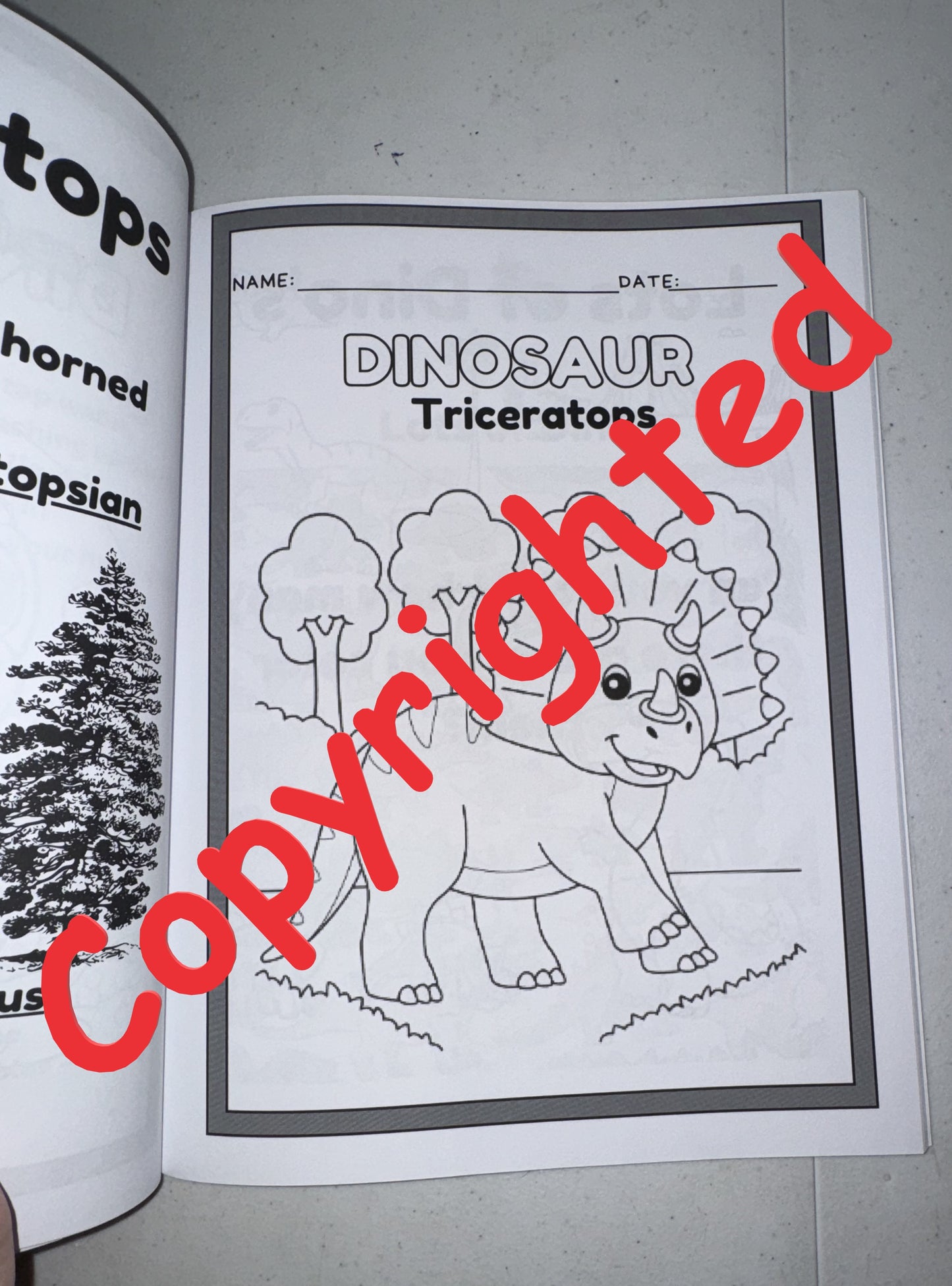 Color a Dino Coloring and Activity book