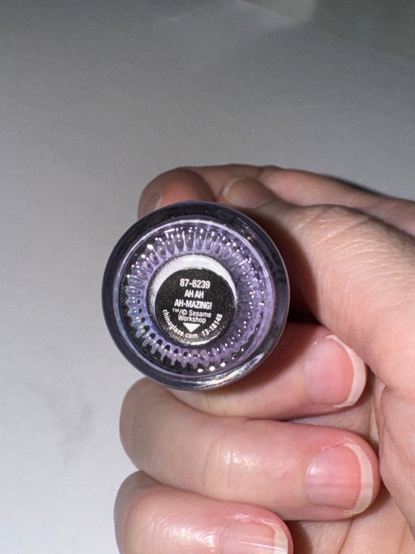 Pink and Purple Polish Bundle