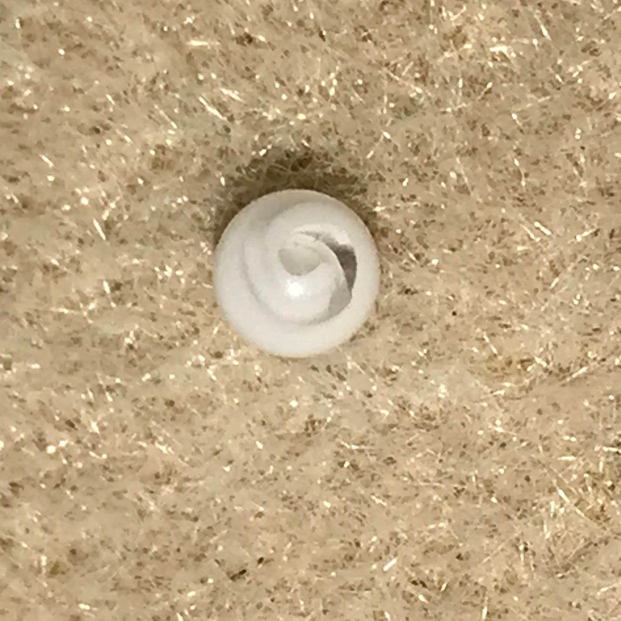 16 Gauge Clear and White Swirl Design