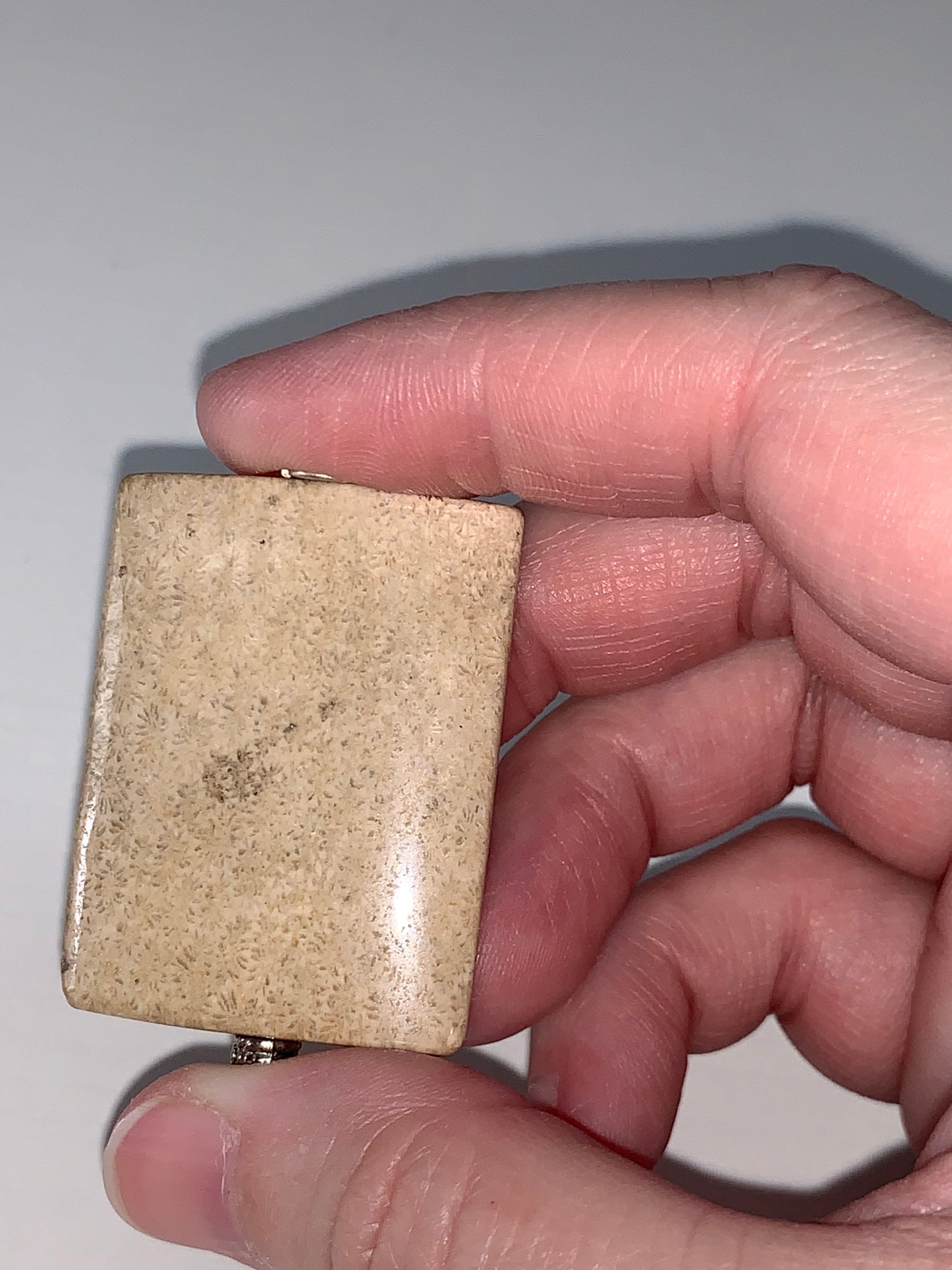 Fossilized Coral Pendant