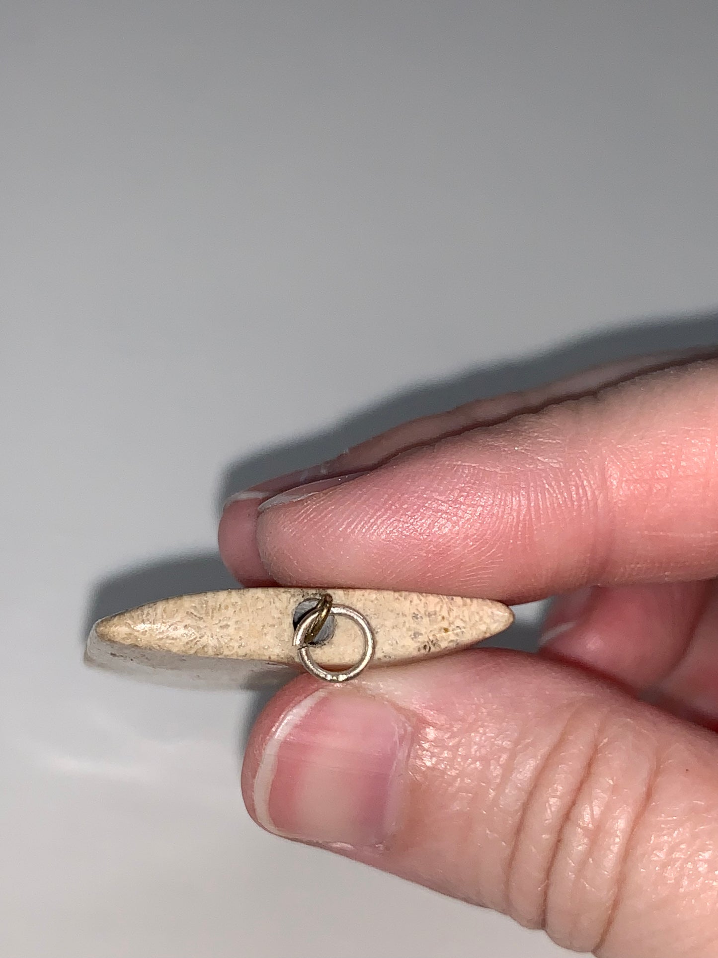 Fossilized Coral Pendant