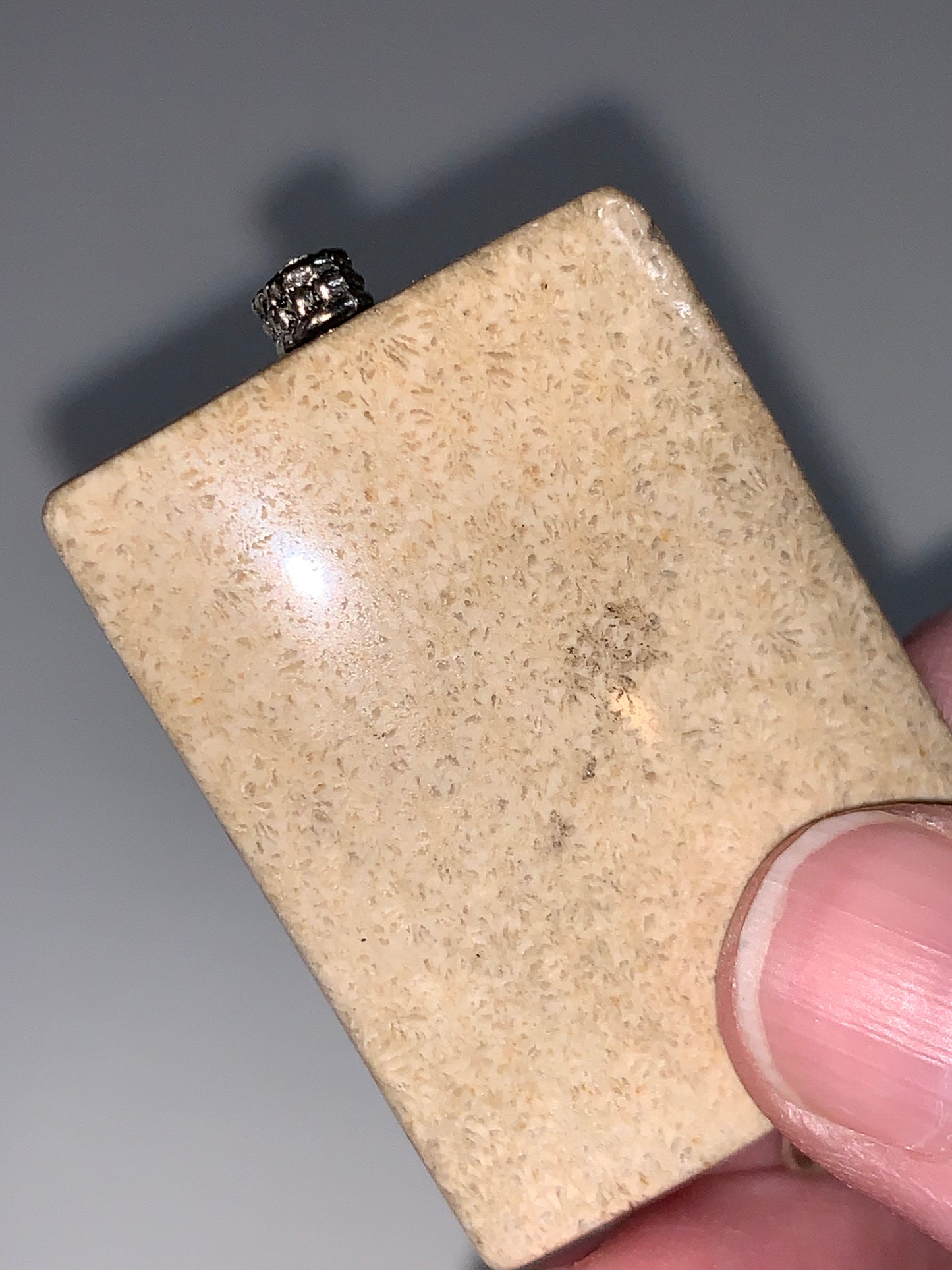Fossilized Coral Pendant