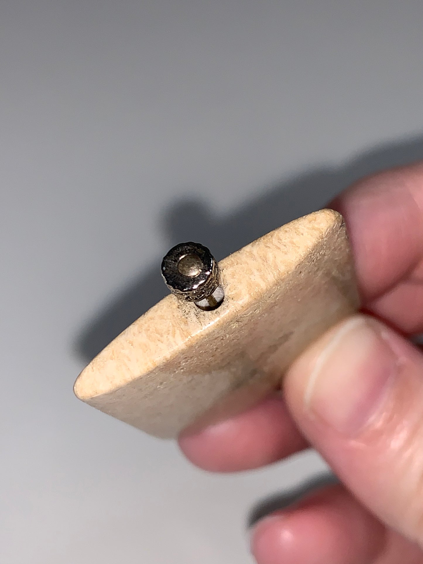 Fossilized Coral Pendant