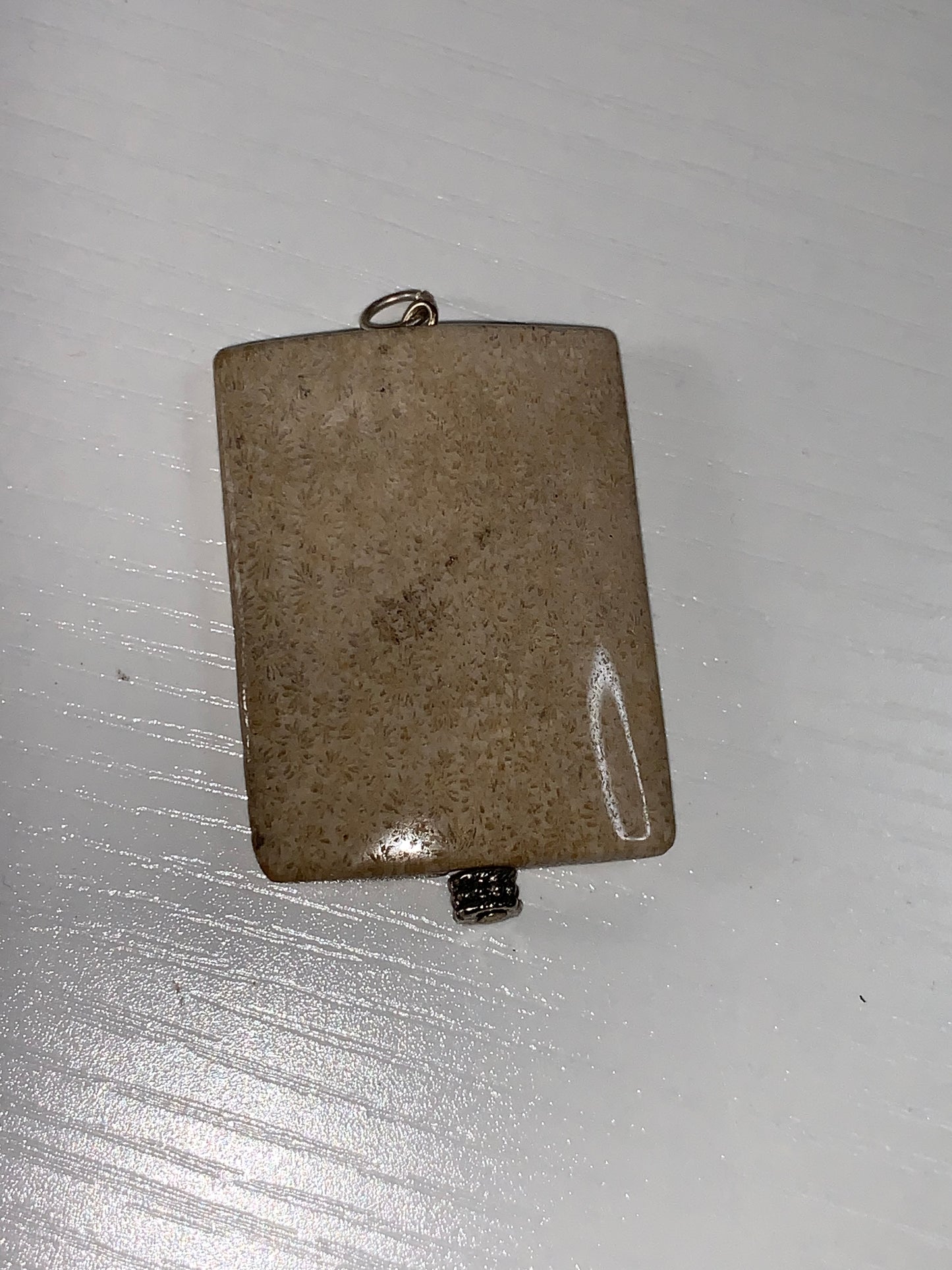 Fossilized Coral Pendant