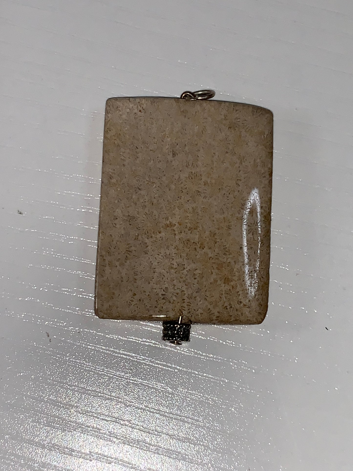 Fossilized Coral Pendant