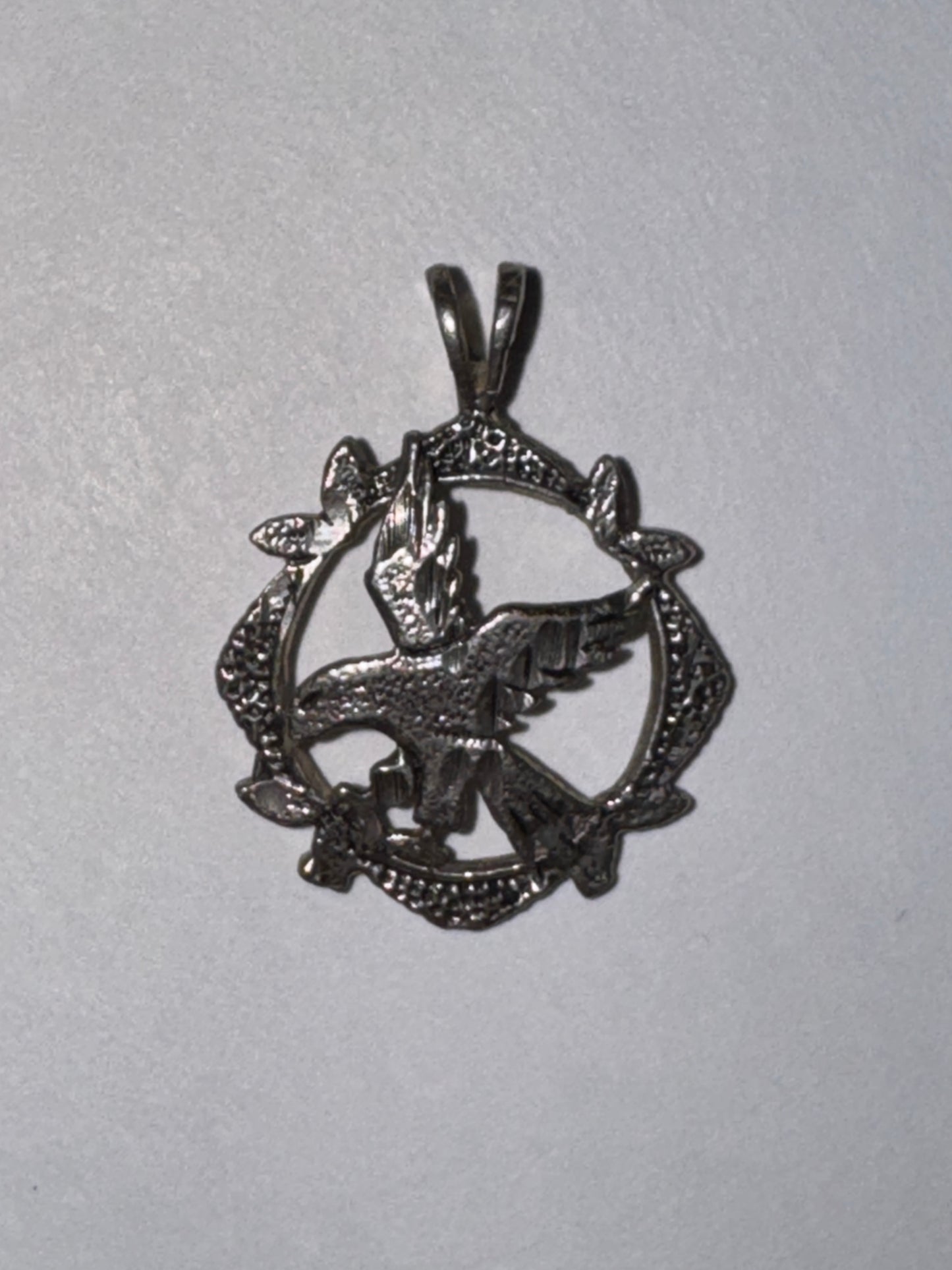 Sterling Silver Eagle Pendant, encircled
