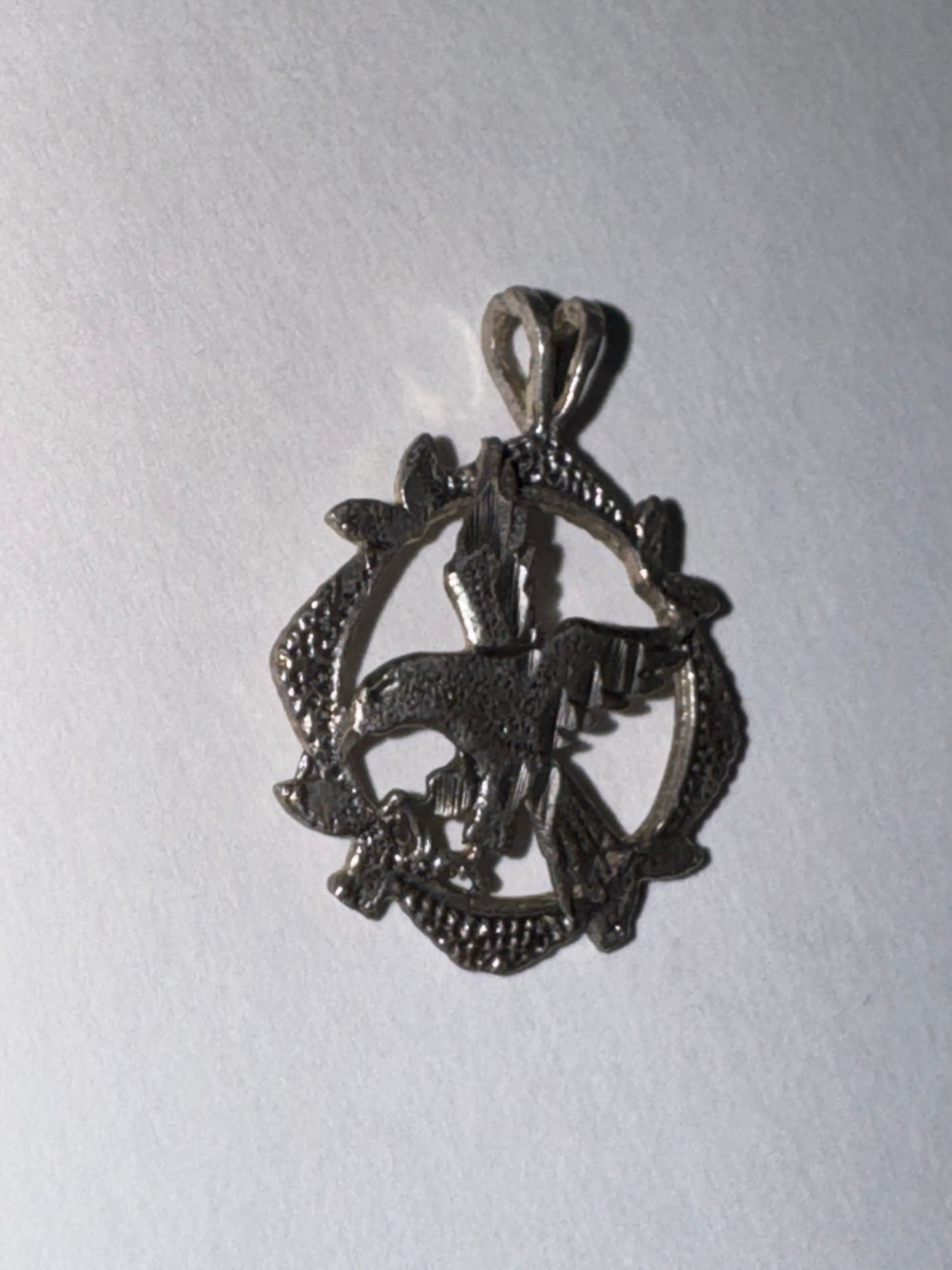 Sterling Silver Eagle Pendant, encircled