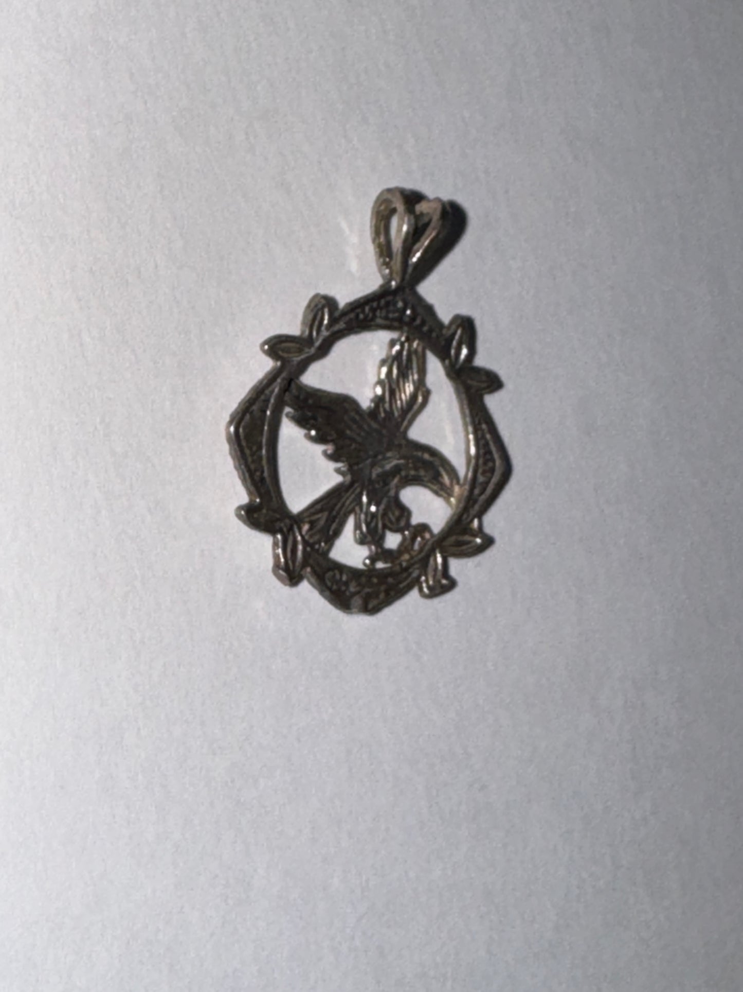 Sterling Silver Eagle Pendant, encircled