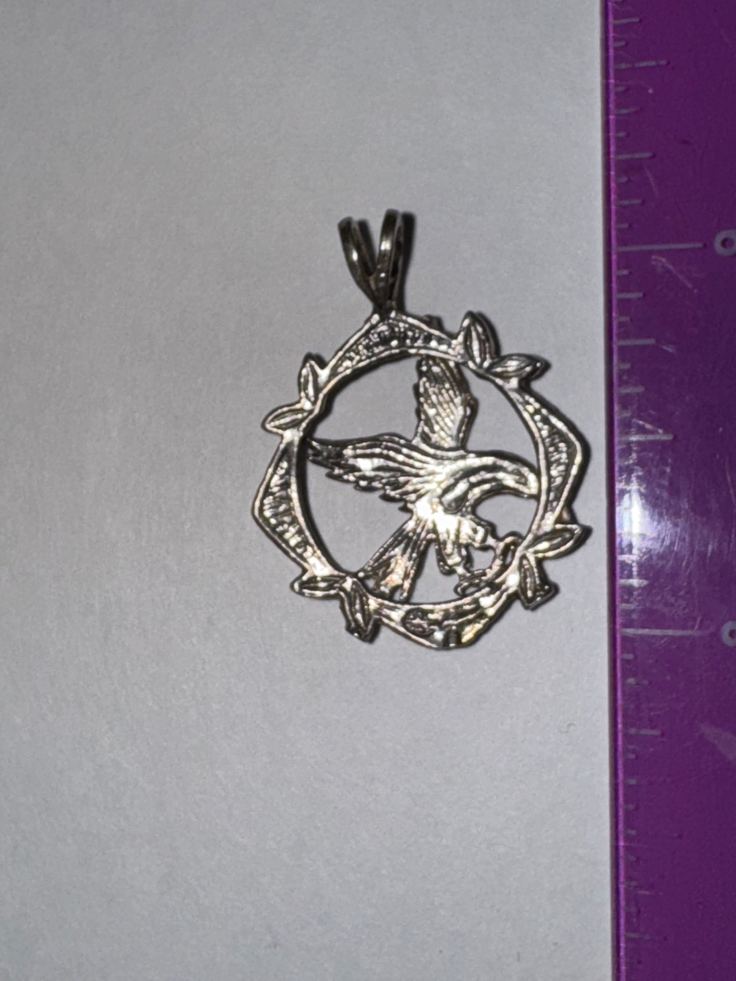 Sterling Silver Eagle Pendant, encircled