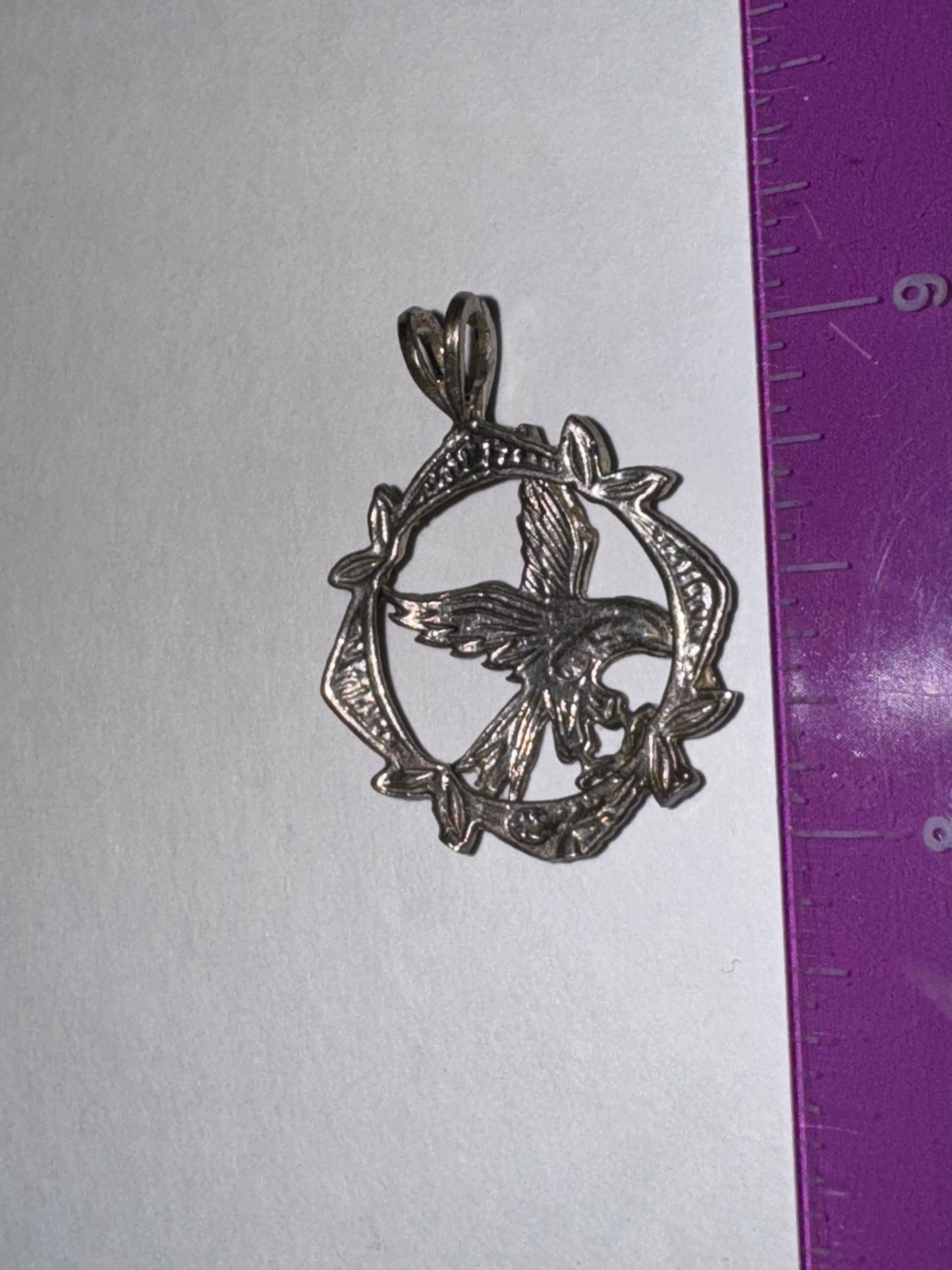 Sterling Silver Eagle Pendant, encircled