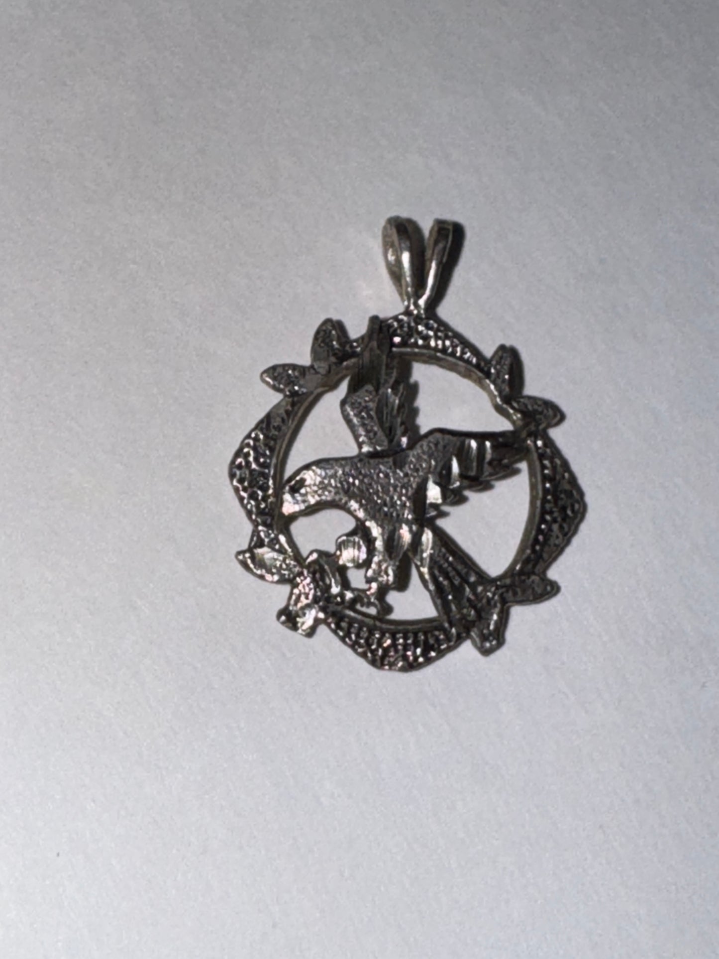Sterling Silver Eagle Pendant, encircled