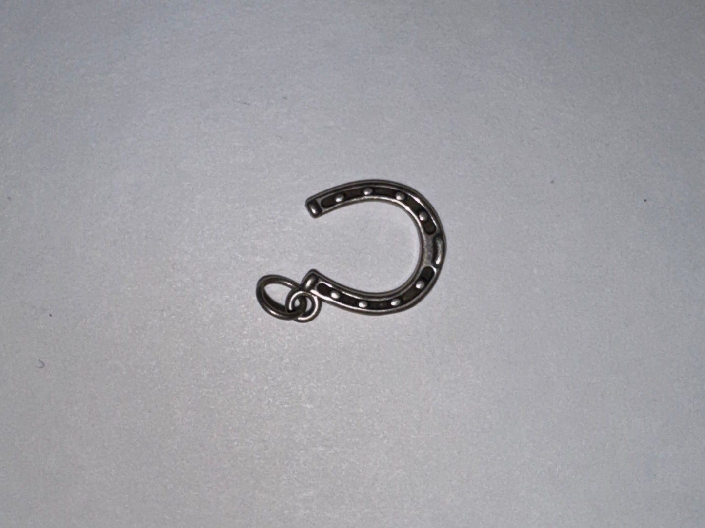 Sterling Silver Lucky Horseshoe Charm