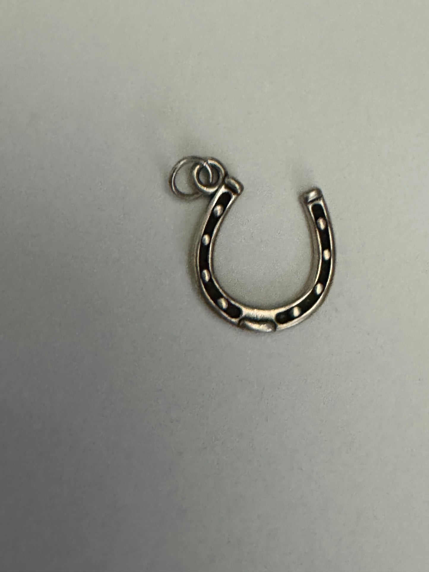 Sterling Silver Lucky Horseshoe Charm