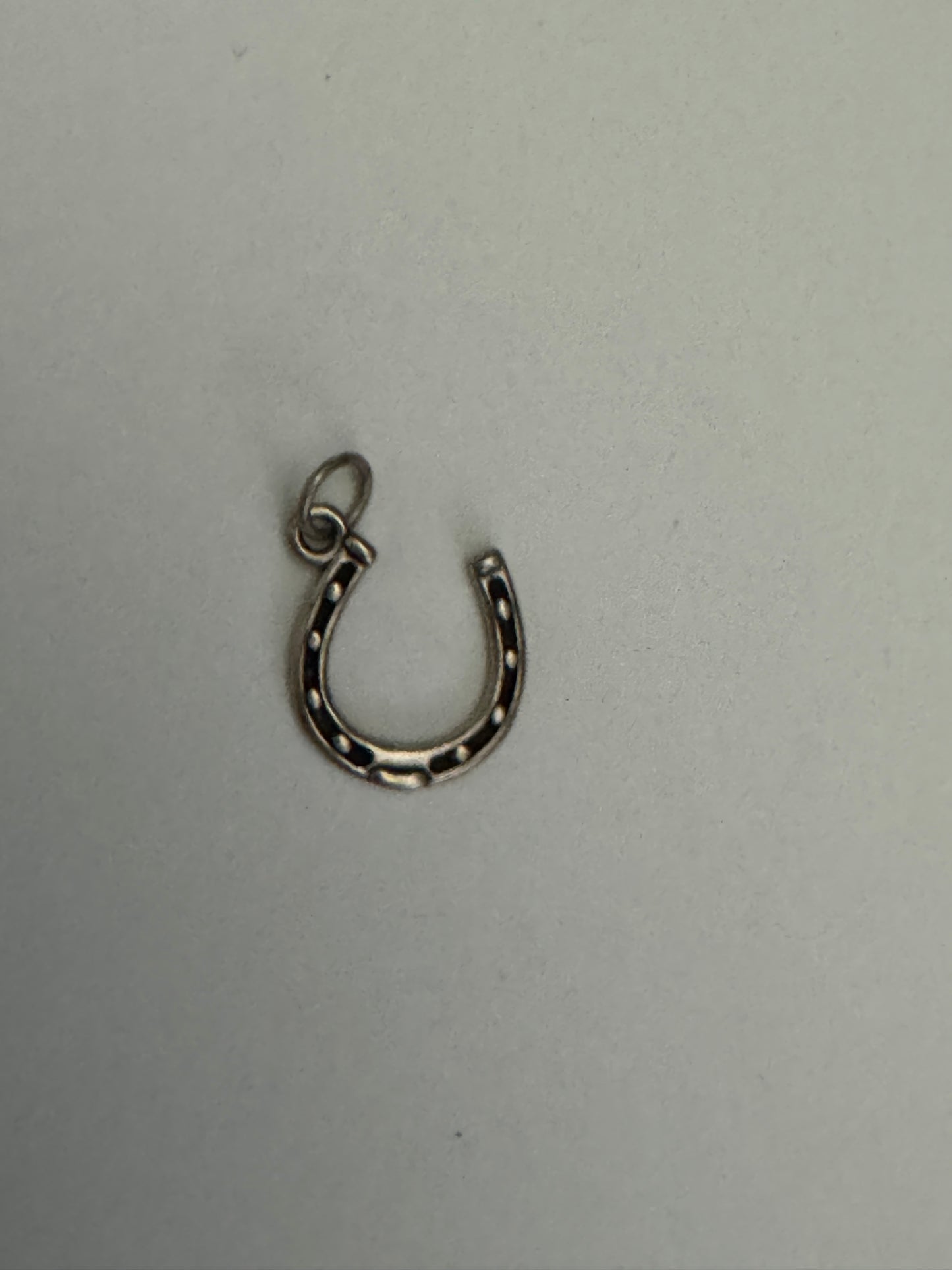Sterling Silver Lucky Horseshoe Charm