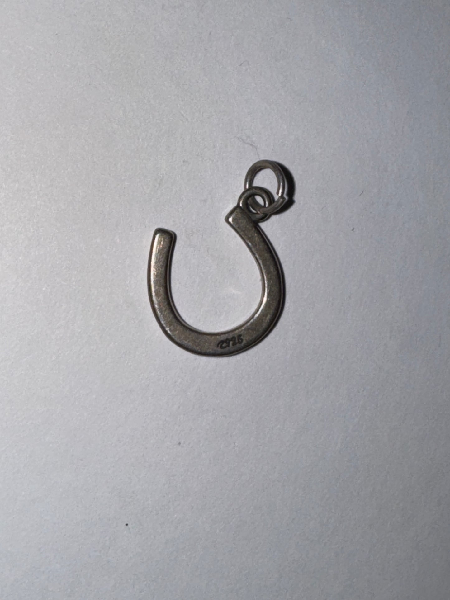 Sterling Silver Lucky Horseshoe Charm