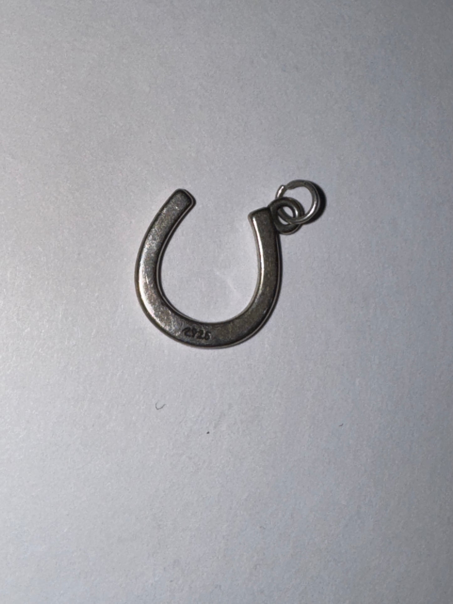 Sterling Silver Lucky Horseshoe Charm