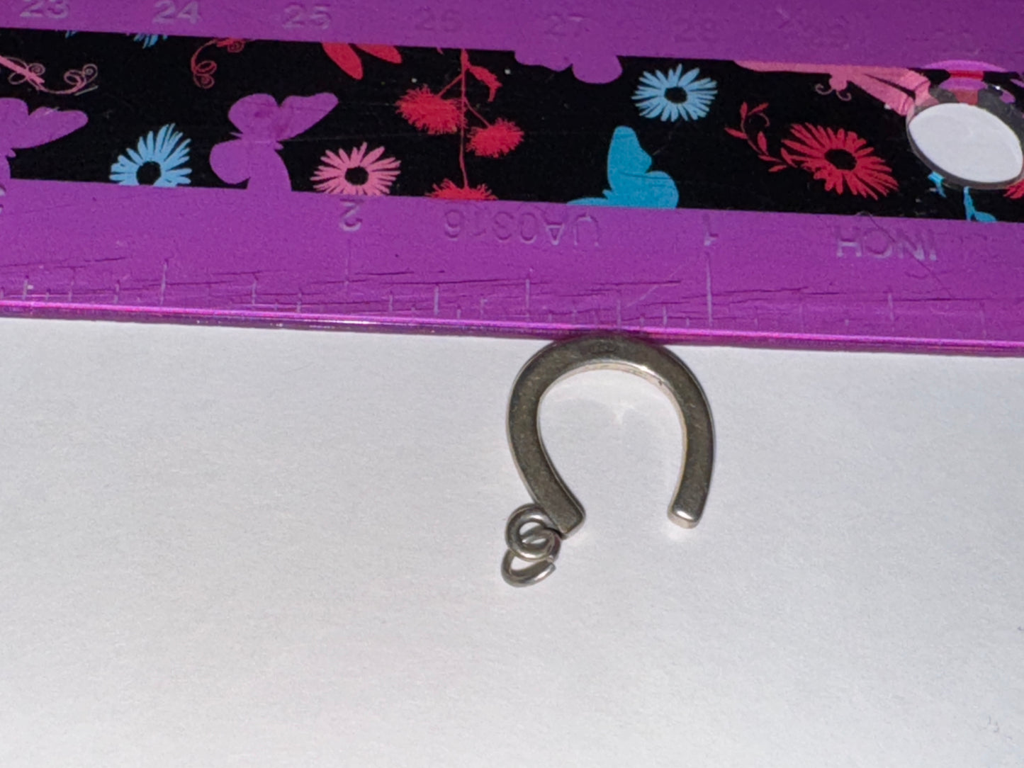 Sterling Silver Lucky Horseshoe Charm