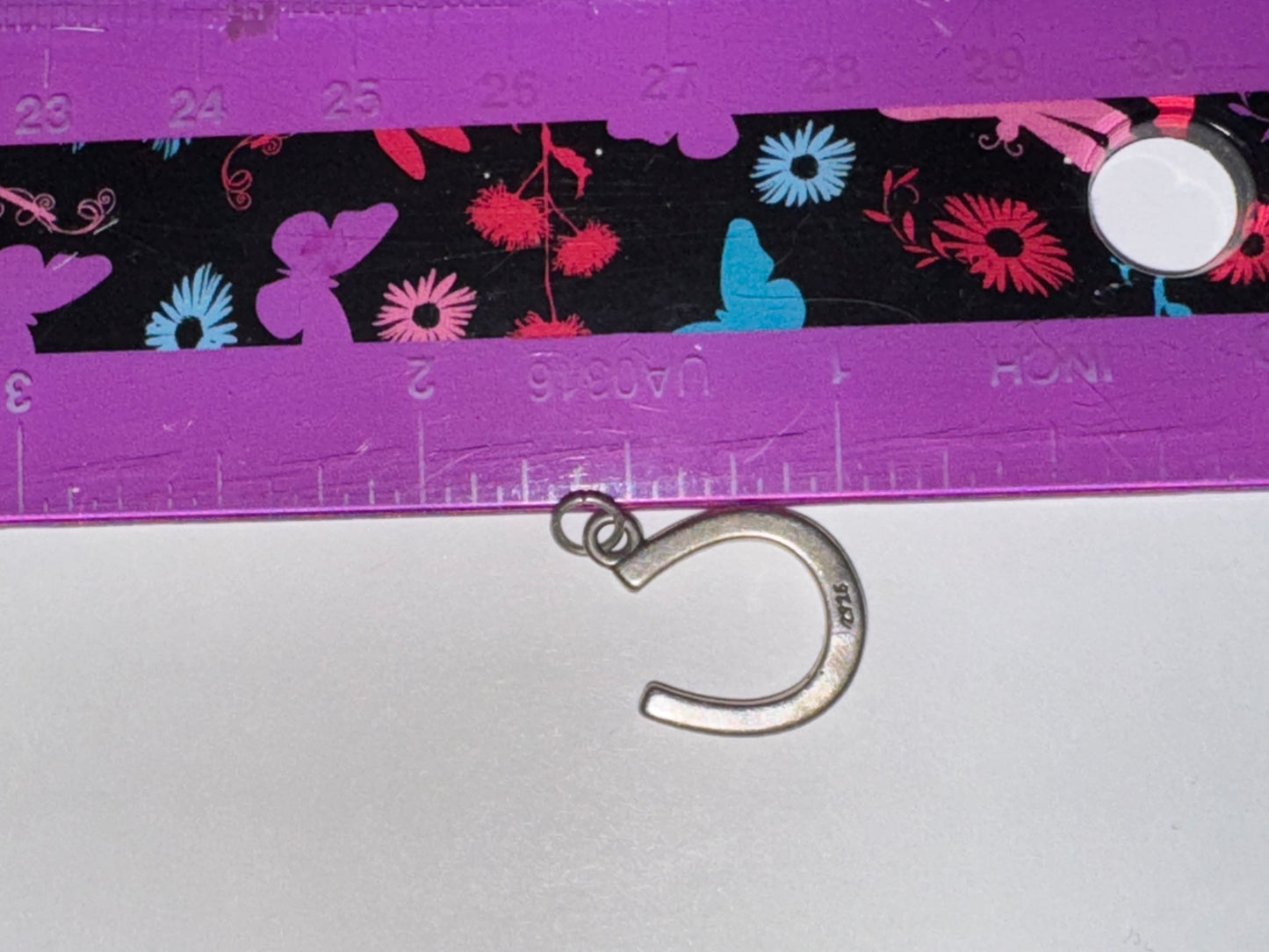 Sterling Silver Lucky Horseshoe Charm