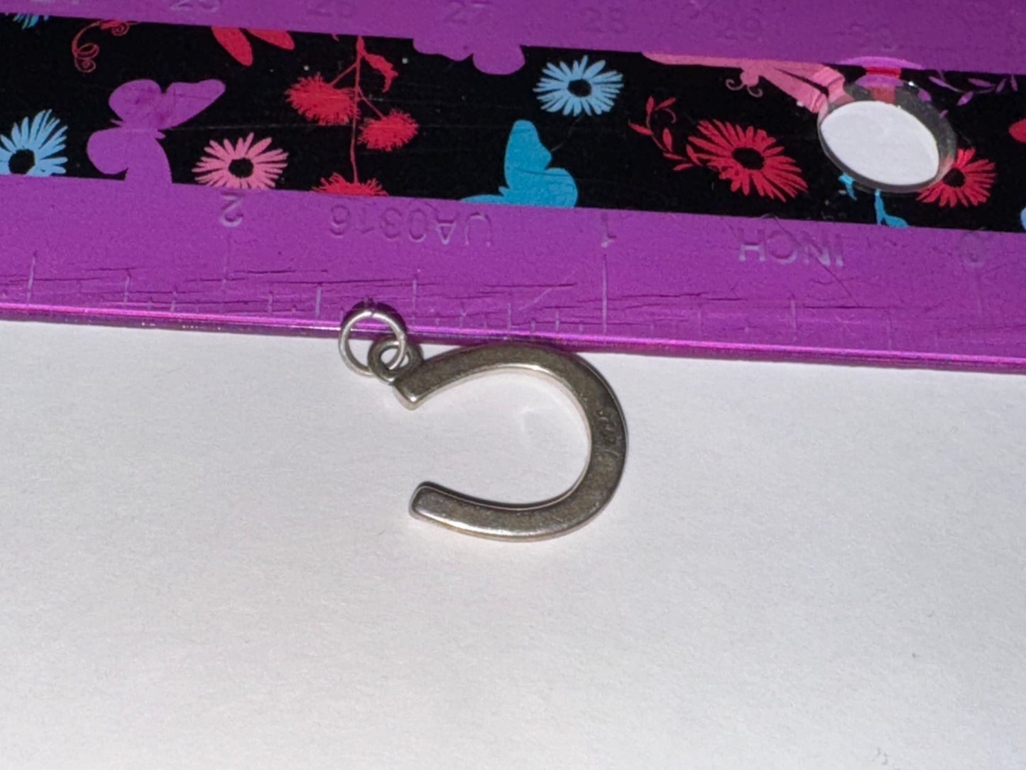 Sterling Silver Lucky Horseshoe Charm