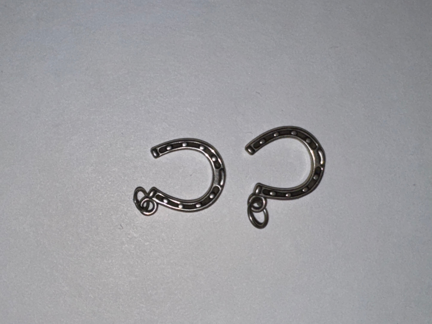 Sterling Silver Lucky Horseshoe Charm