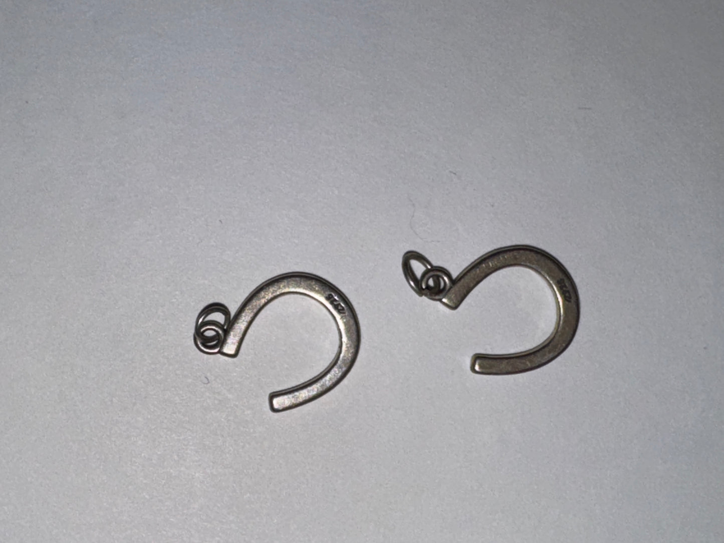 Sterling Silver Lucky Horseshoe Charm