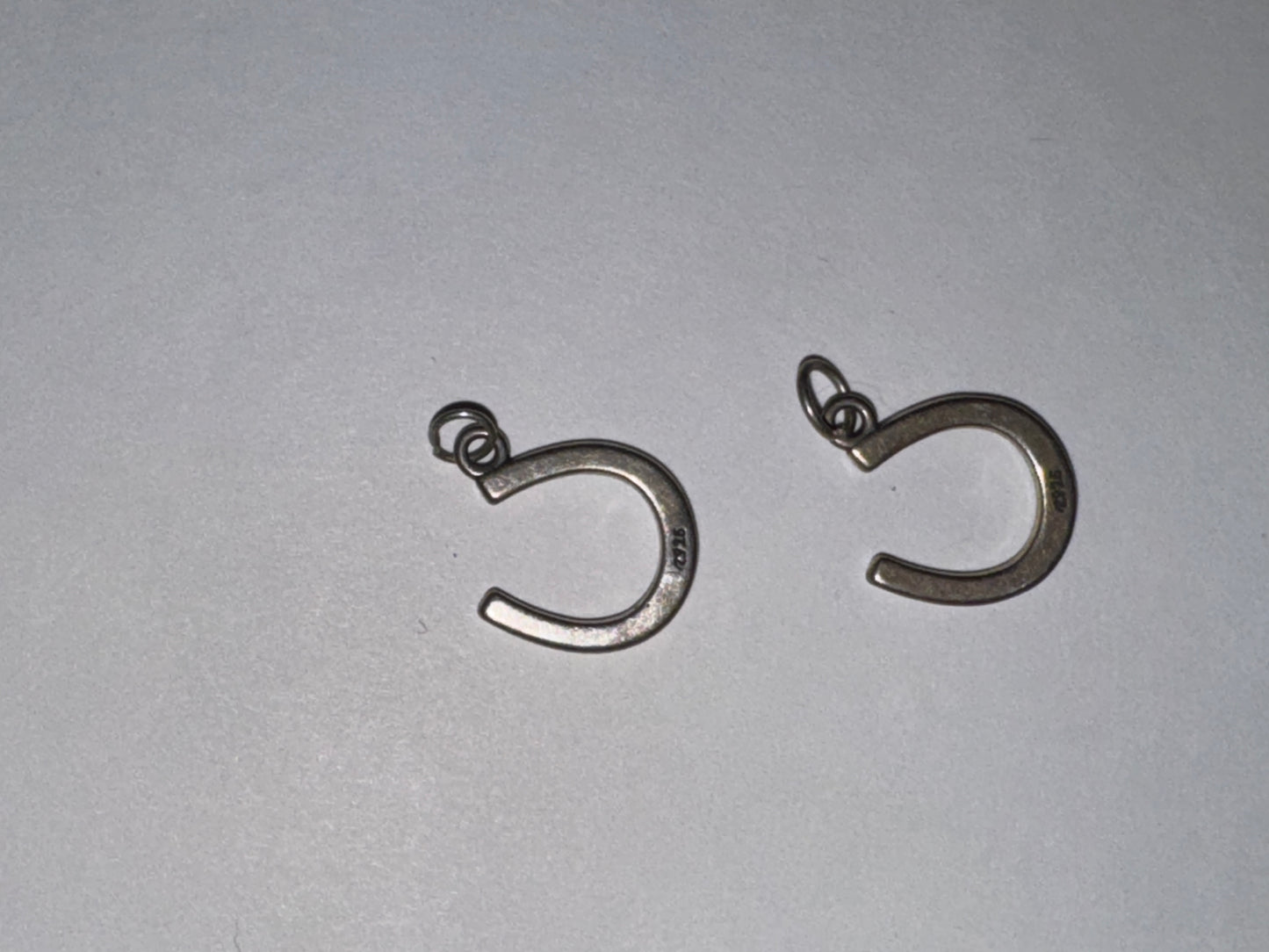 Sterling Silver Lucky Horseshoe Charm