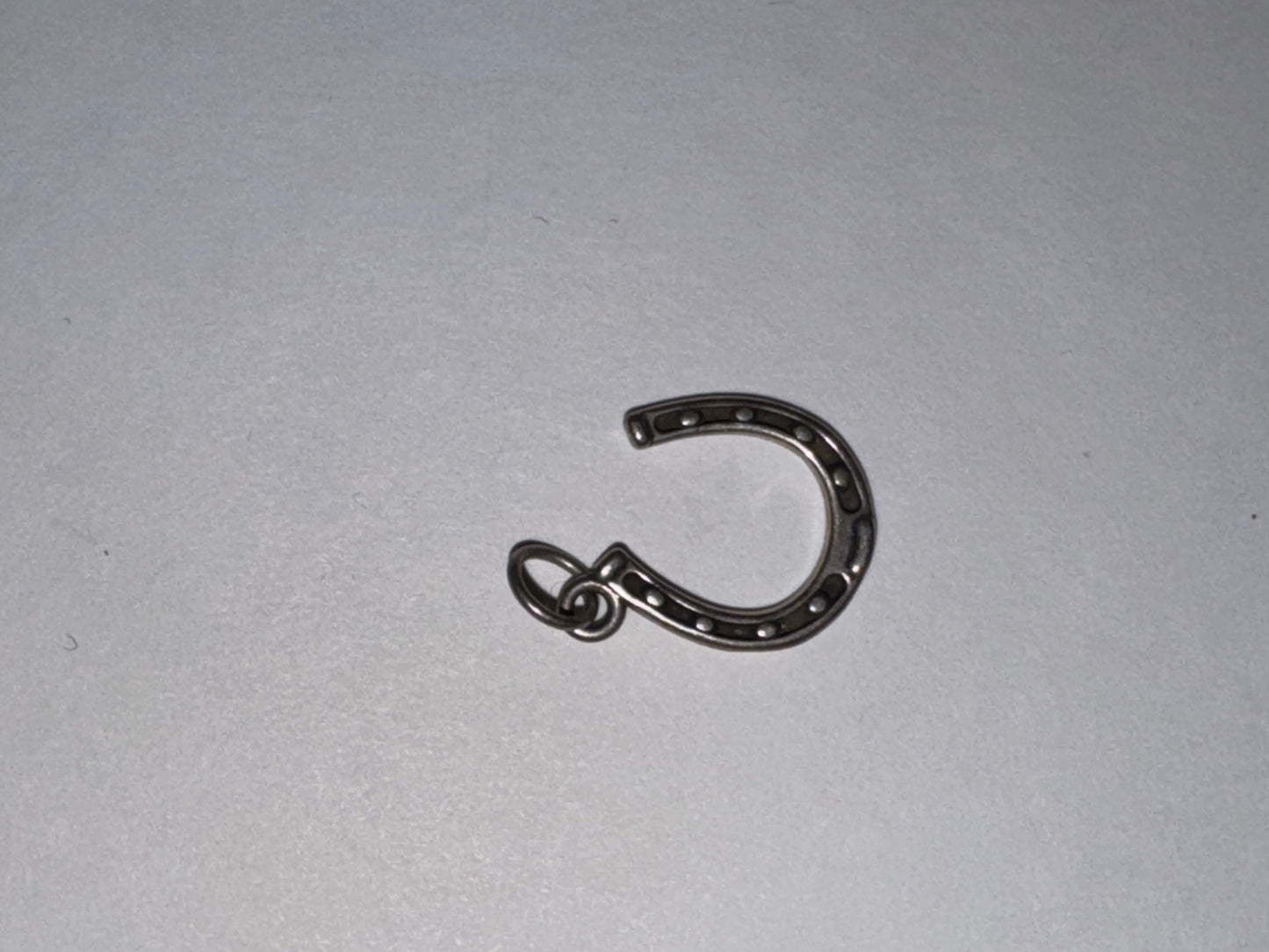 Sterling Silver Lucky Horseshoe Charm