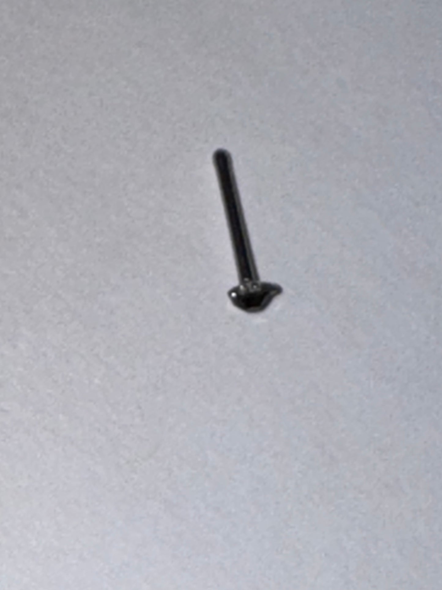 20 Gauge Star Shaped Nose Rings