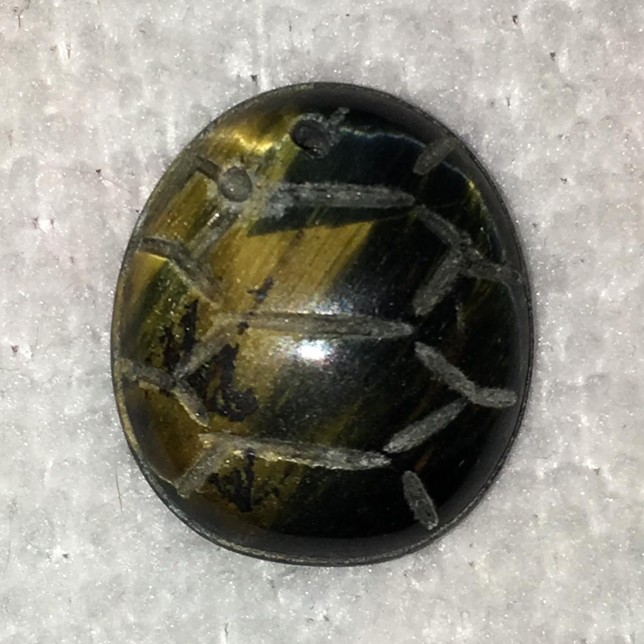 Turtle Design Tigerseye Cabochon