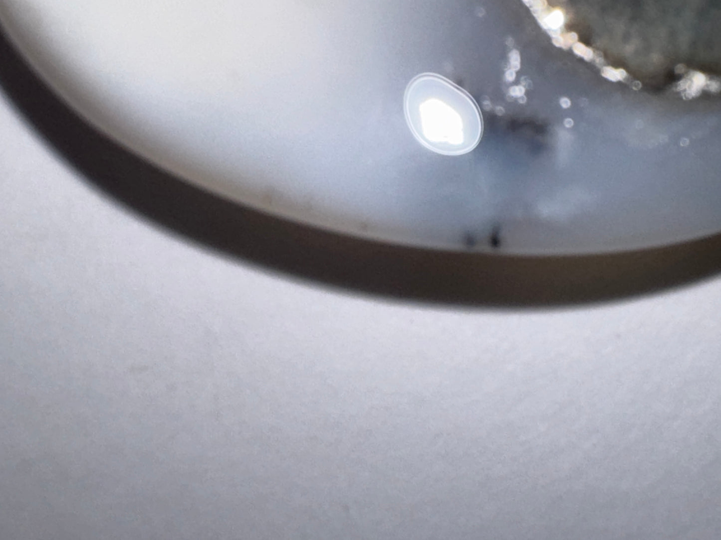 White Dendritic Agate Oval Pendant