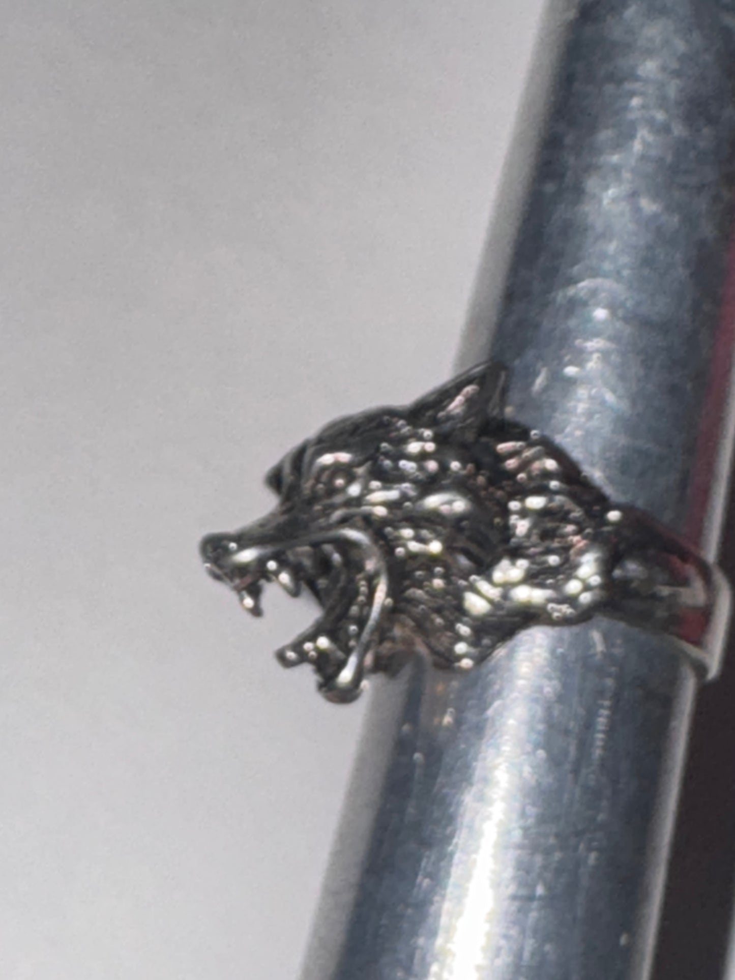 Wolf's Head Ring, Size 10