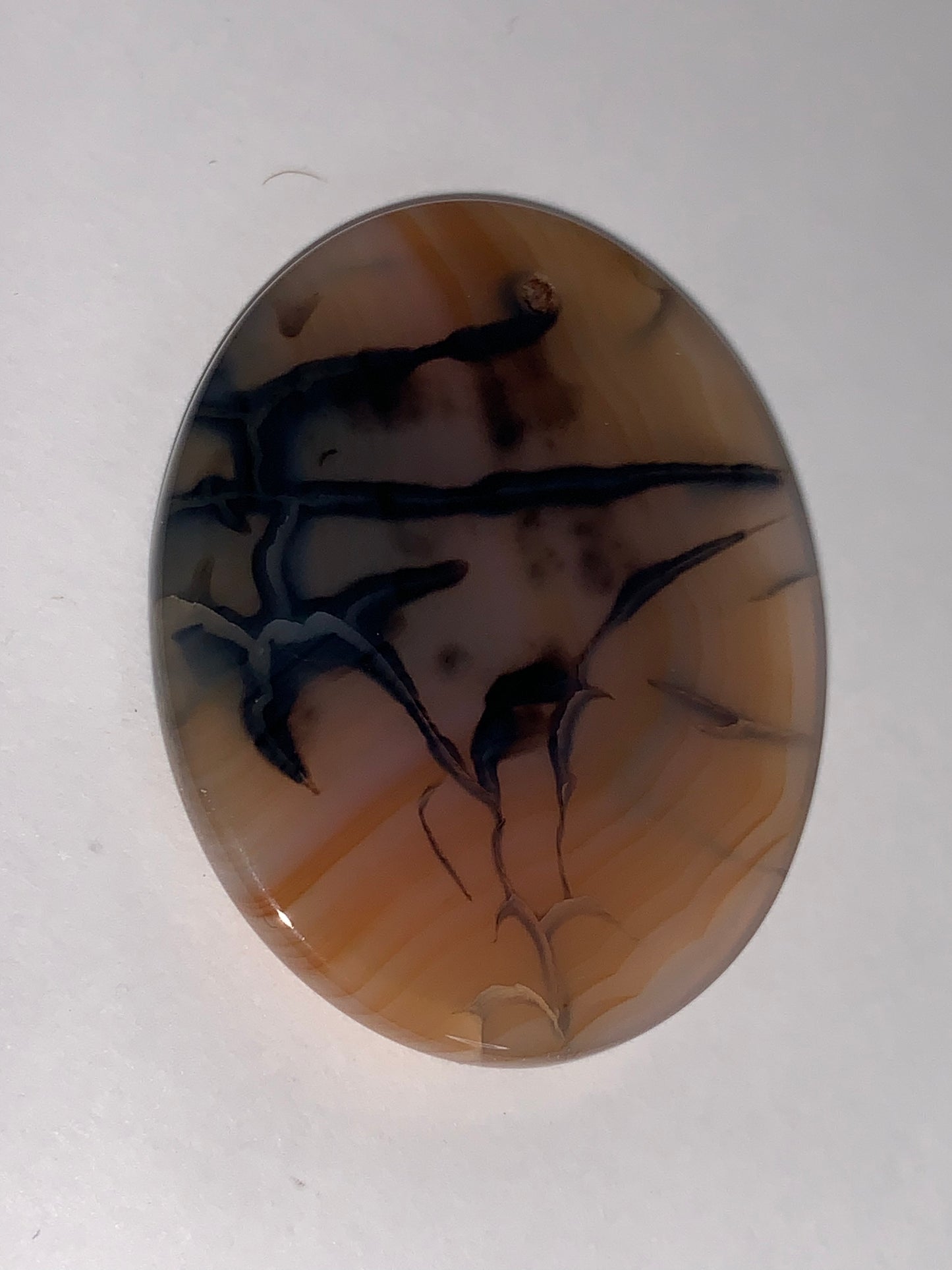 Oval Dragon Veins Agate Orange and Cream Focal Pendant