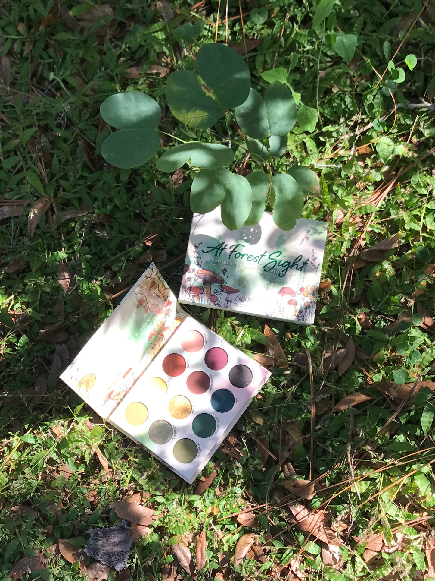 Colourpop x RawBeautyKristi At Forest Sight Palette