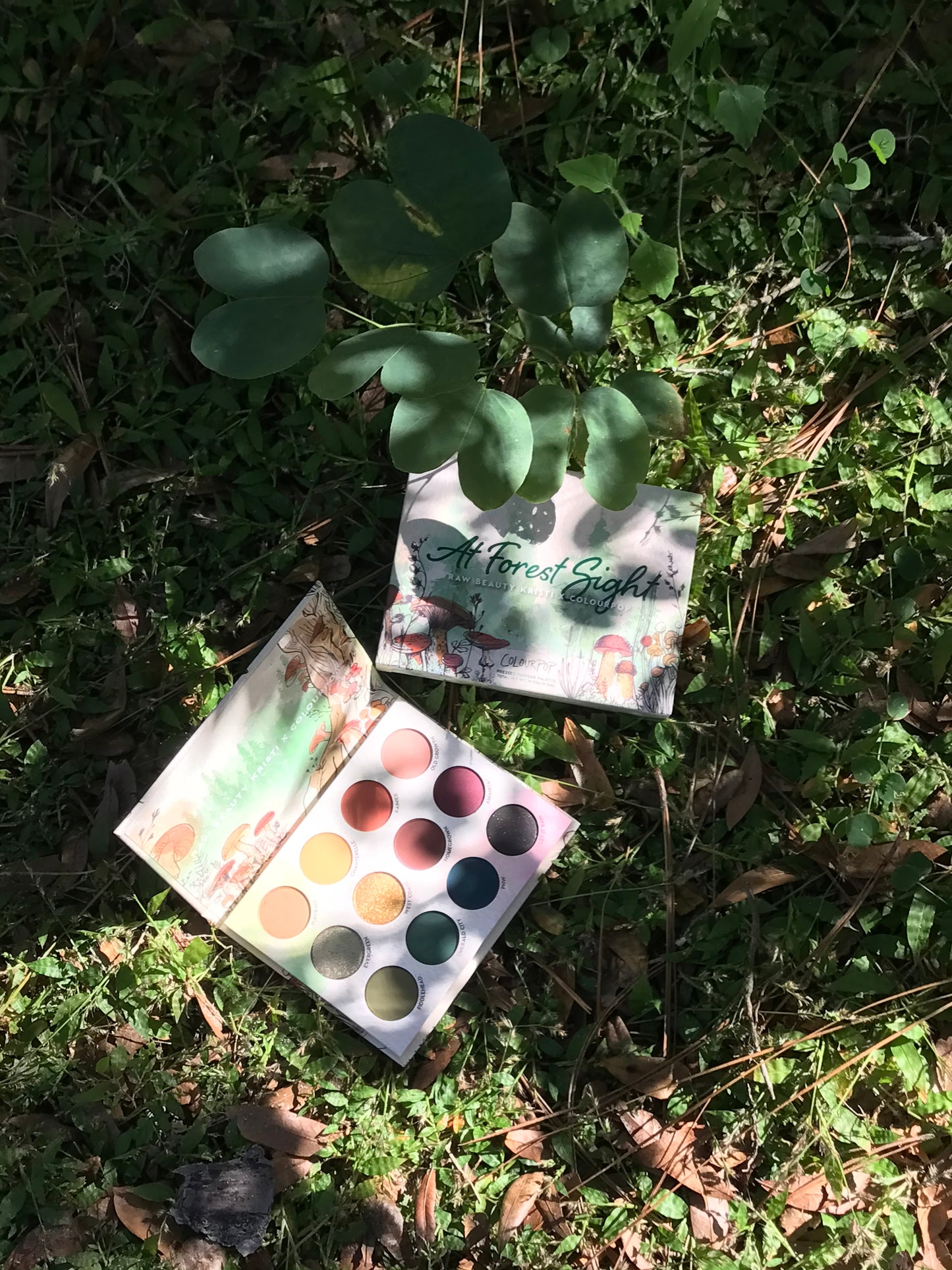 Colourpop x RawBeautyKristi At Forest Sight Palette