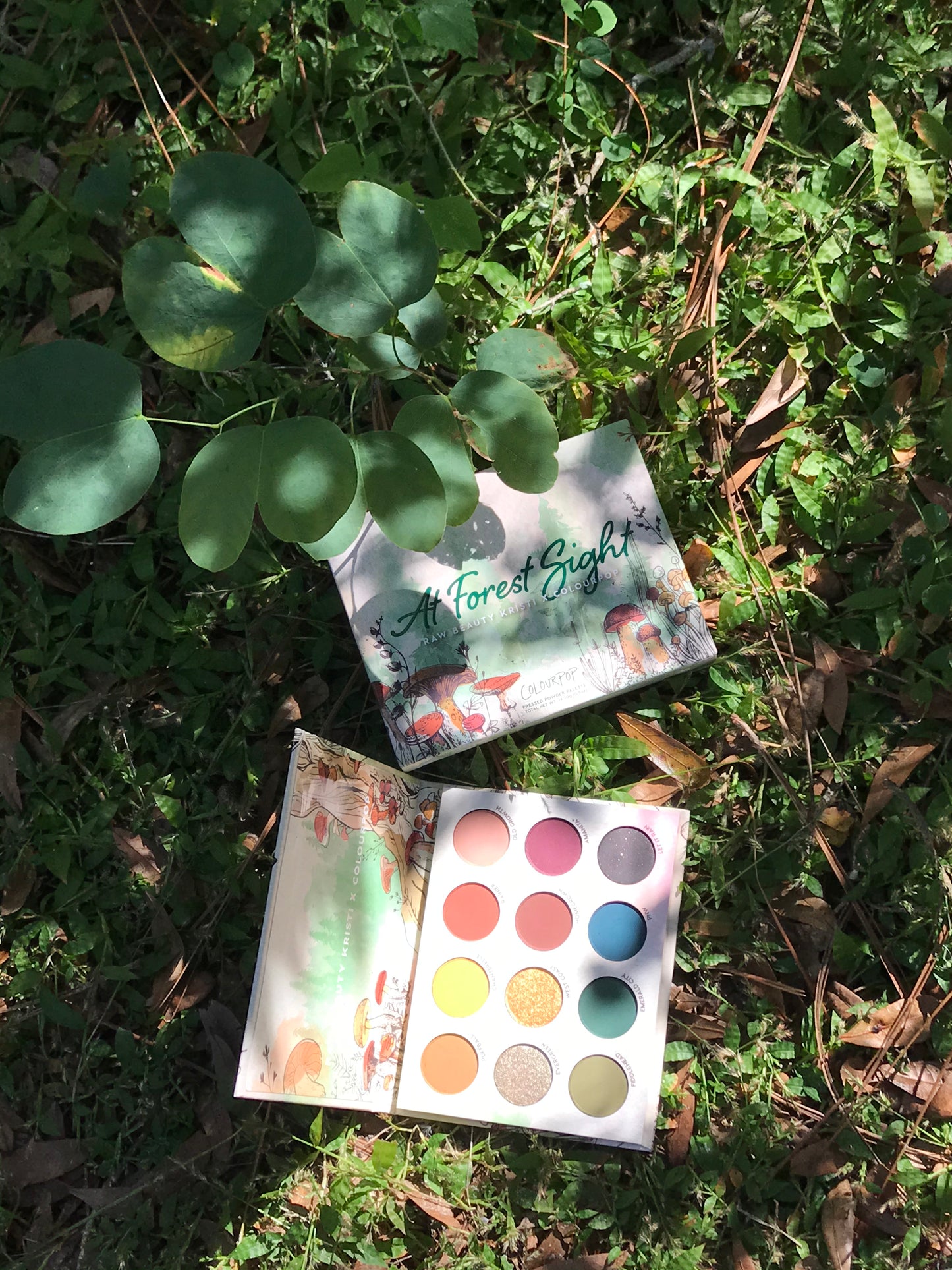 Colourpop x RawBeautyKristi At Forest Sight Palette