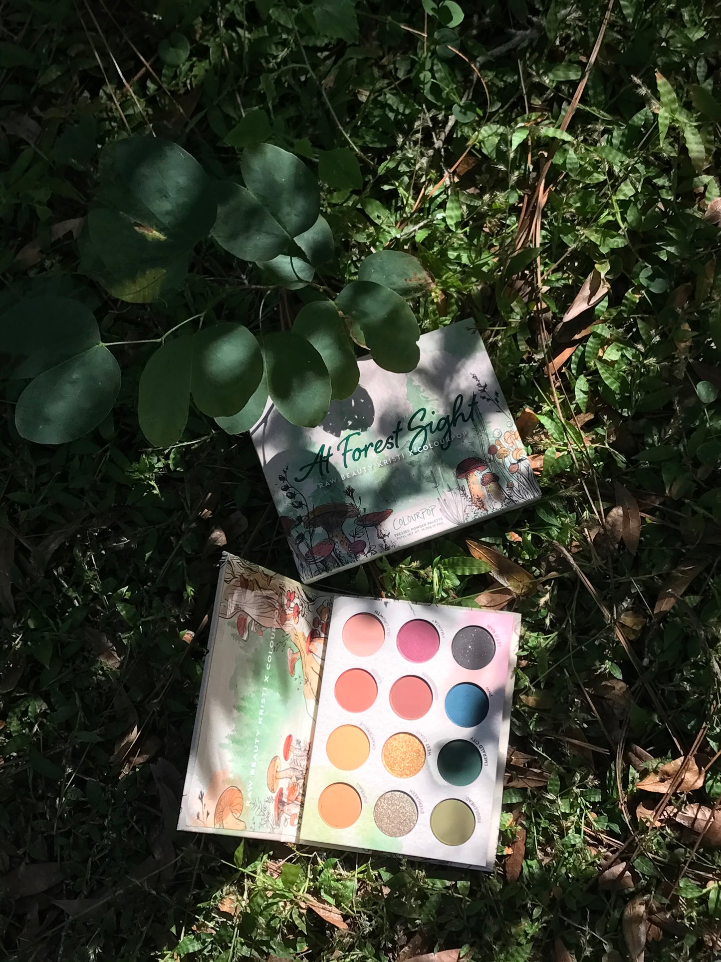 Colourpop x RawBeautyKristi At Forest Sight Palette