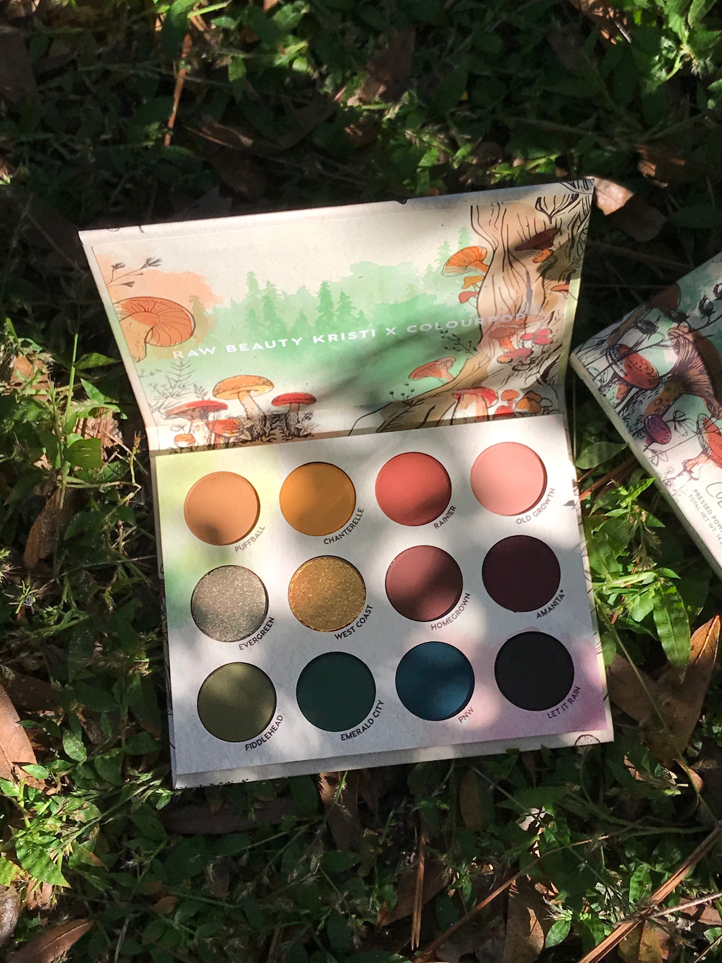 Colourpop x RawBeautyKristi At Forest Sight Palette