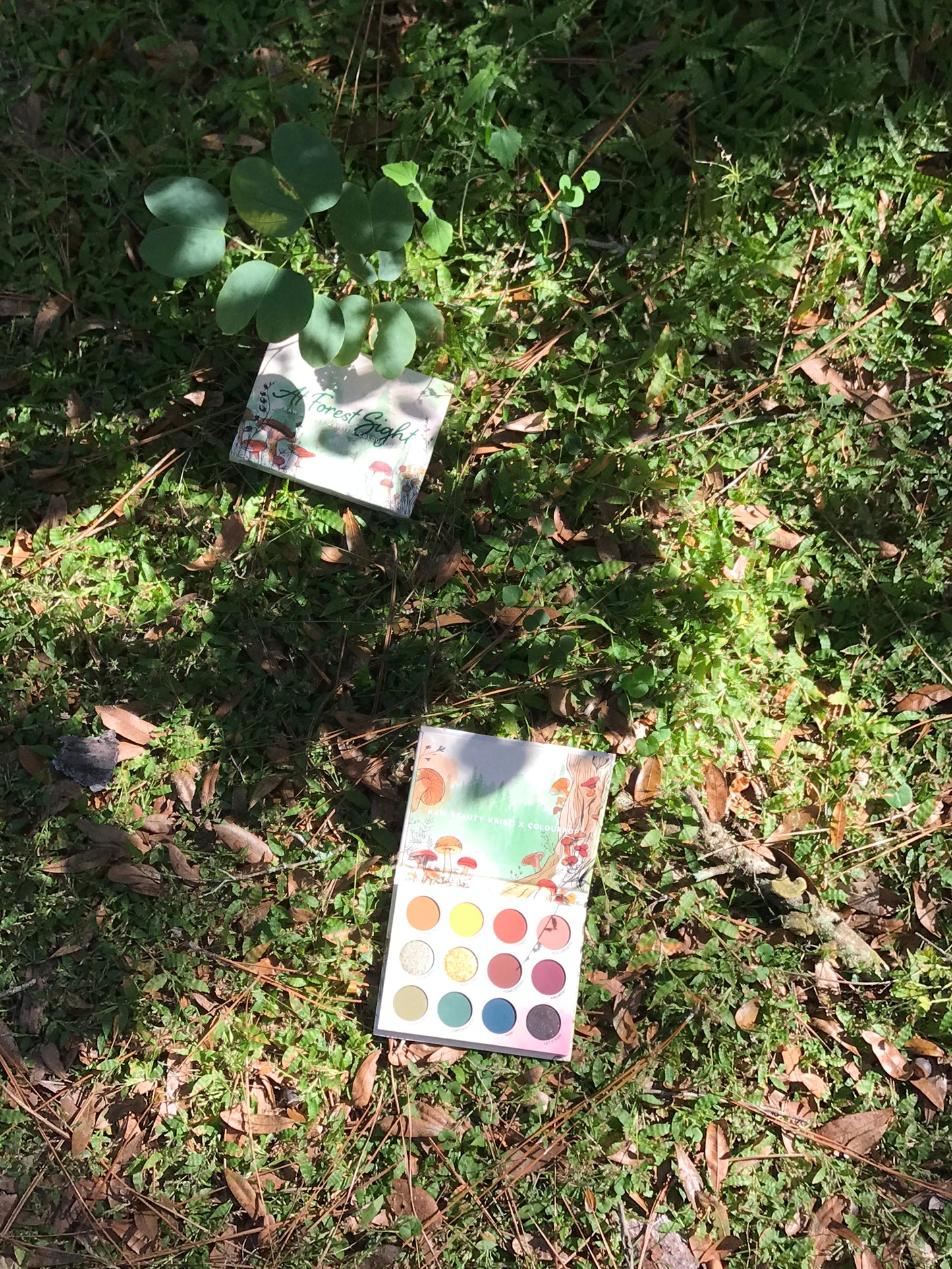 Colourpop x RawBeautyKristi At Forest Sight Palette