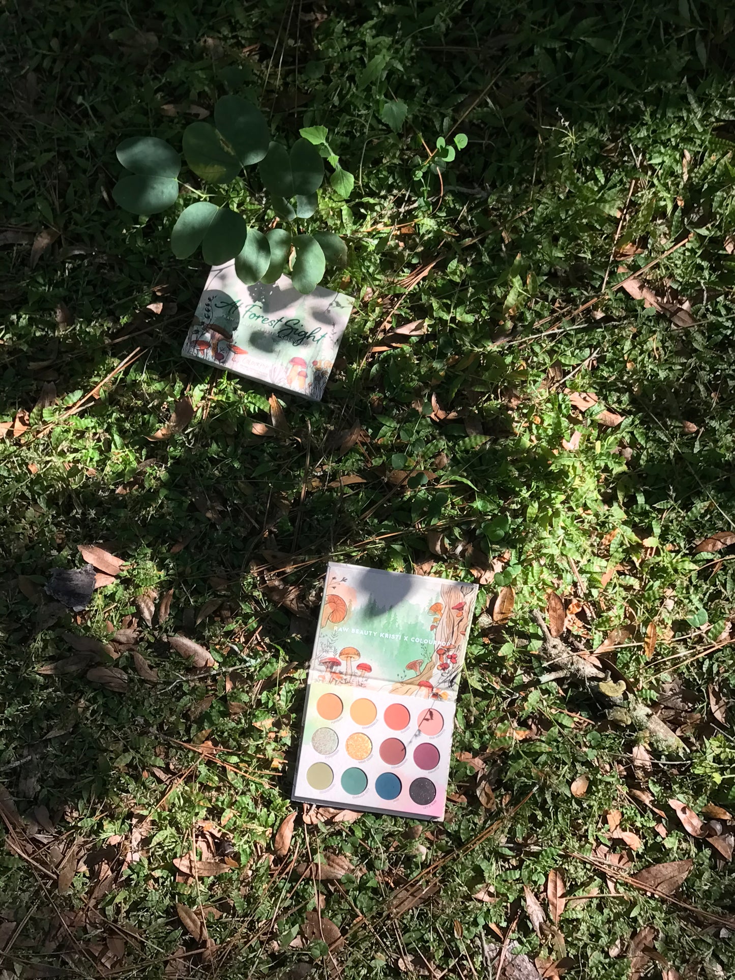 Colourpop x RawBeautyKristi At Forest Sight Palette