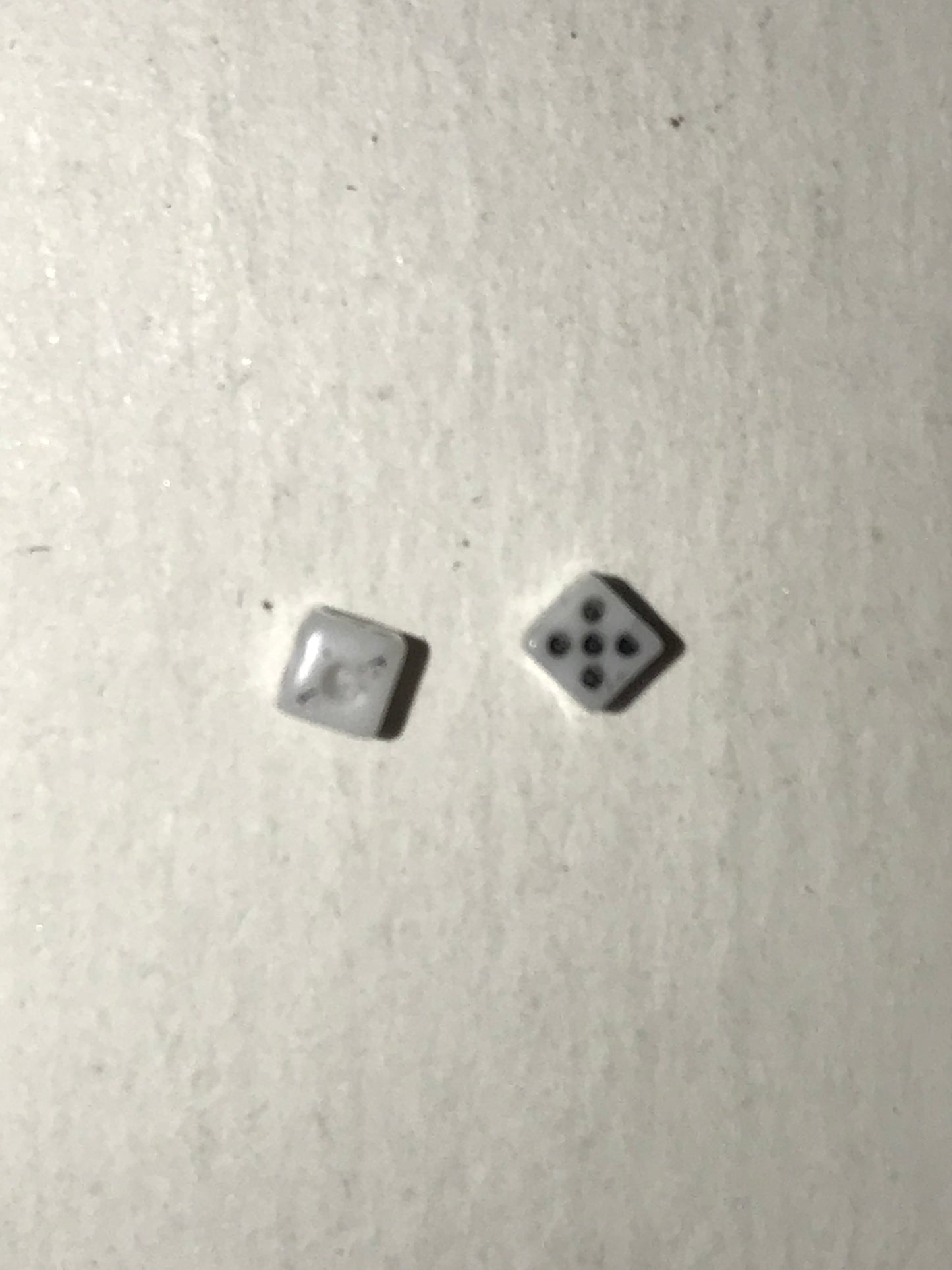 16 Gauge Black and White Dice