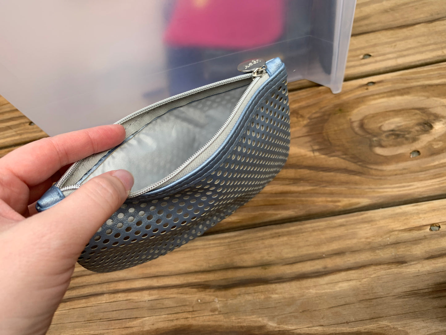 Ipsy Metallic Silver Makeup Bag