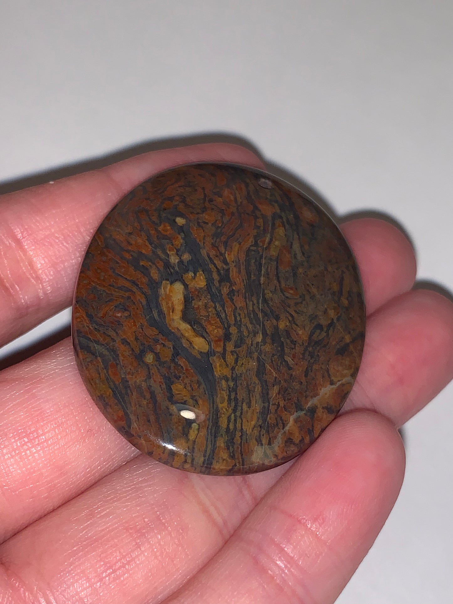 Oval Petrified Wood Focal