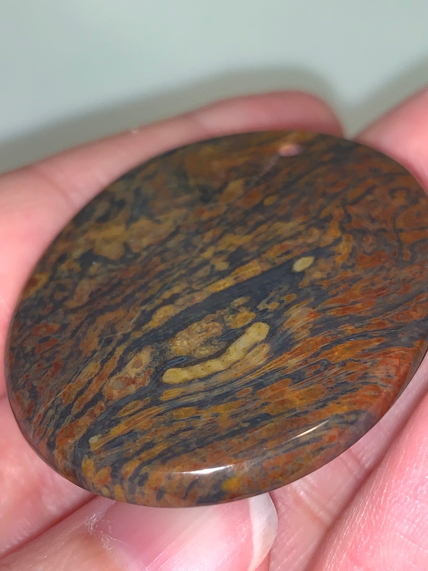 Oval Petrified Wood Focal