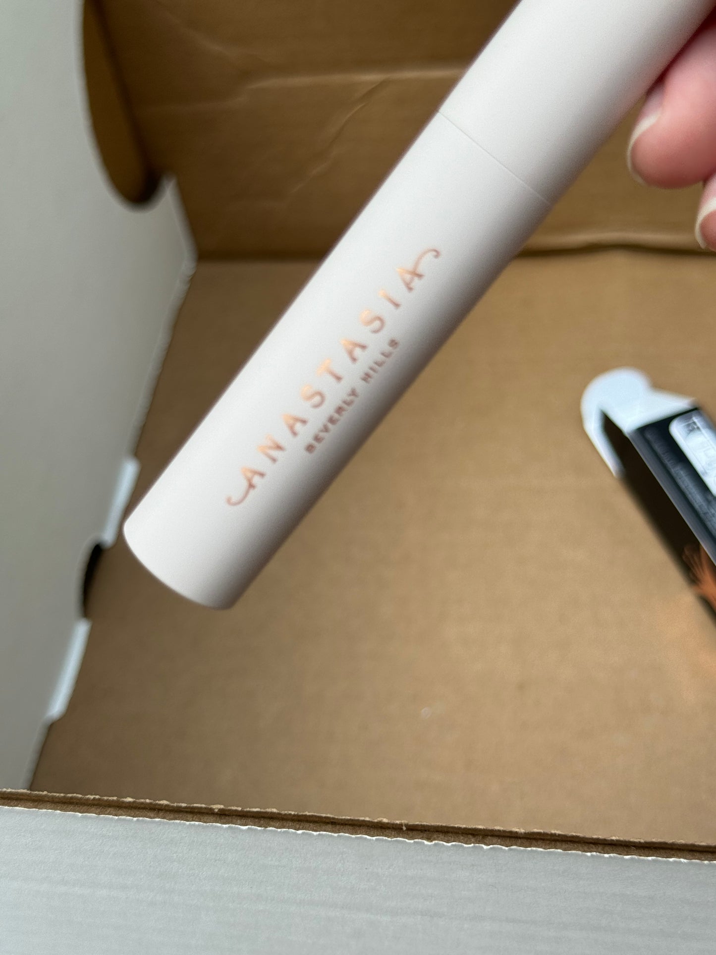 Anastasia Beverly Hills Brow Freeze Gel