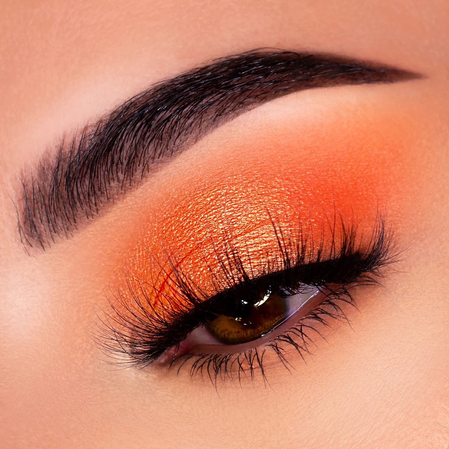 Colourpop Cosmetics Orange You Glad? Shadow Palette