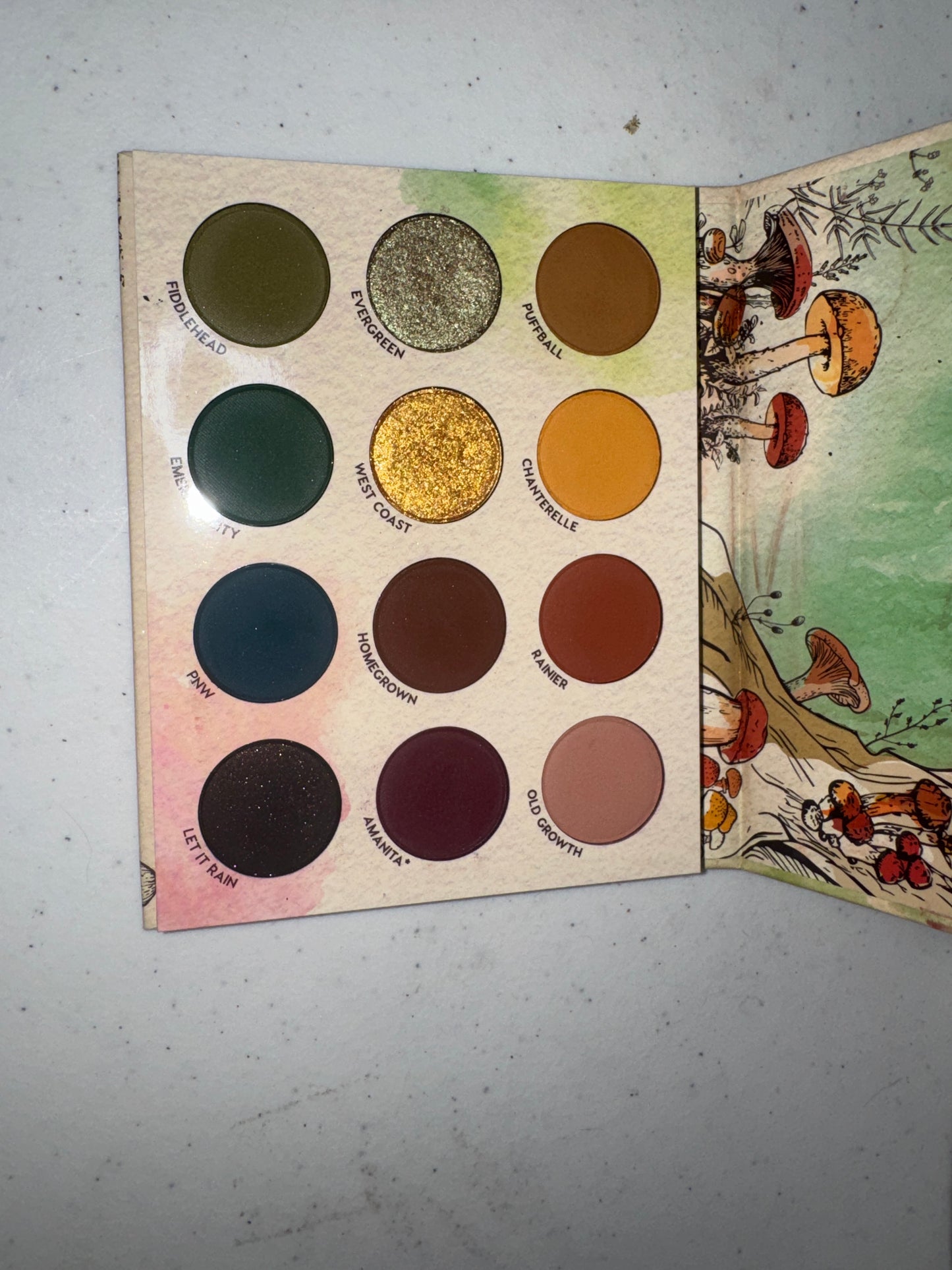 Colourpop x RawBeautyKristi At Forest Sight Palette