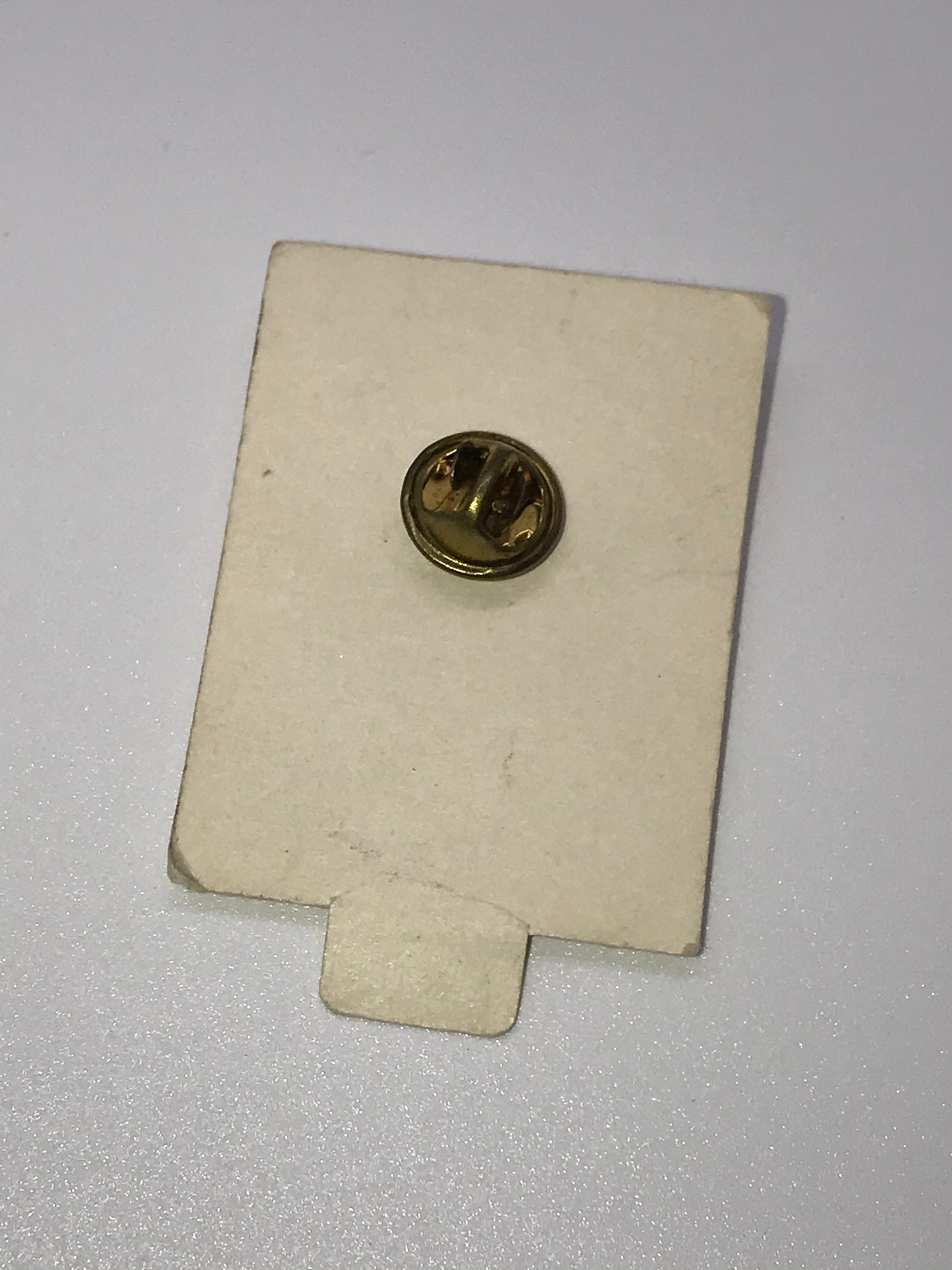 Footprints In The Sand Pin