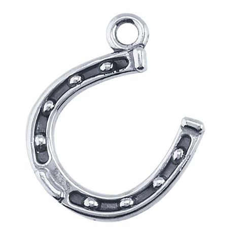 Sterling Silver Lucky Horseshoe Charm