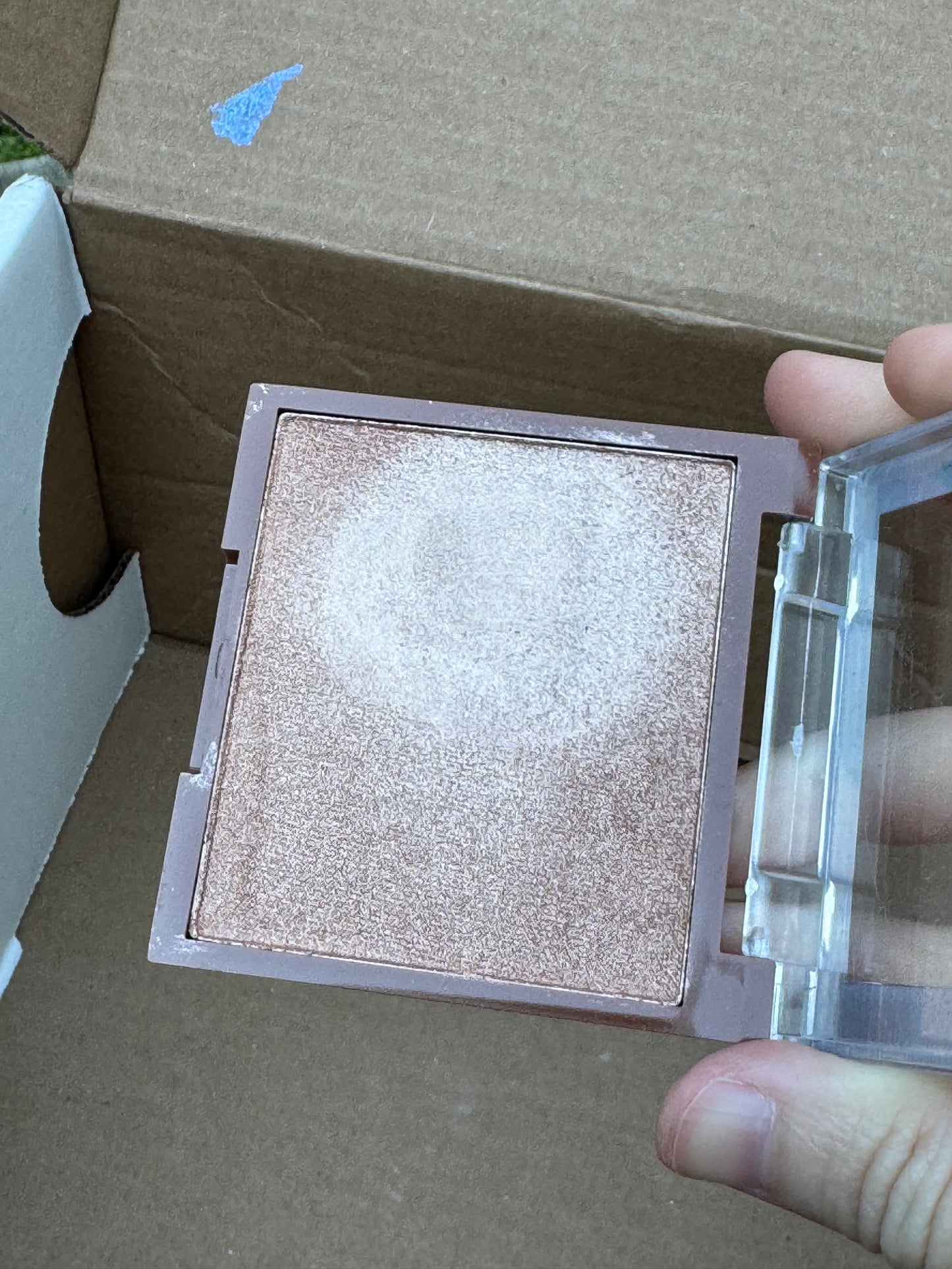 Steve Laurant Beauty Jelly Highlighter in Prosecco Please